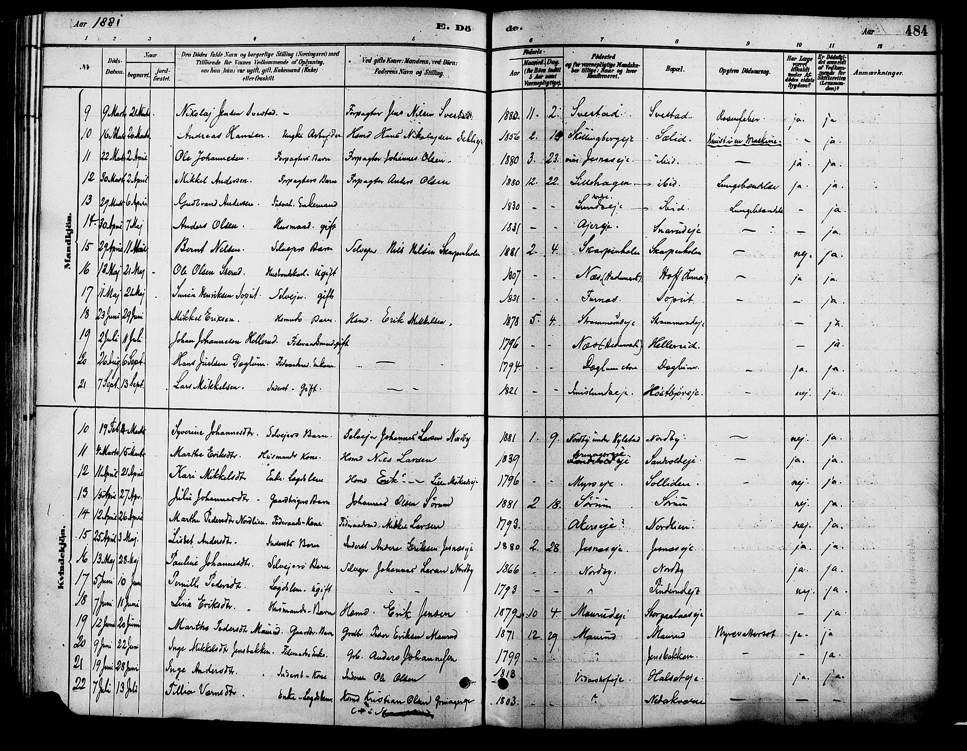Vang prestekontor, Hedmark, SAH/PREST-008/H/Ha/Haa/L0018B: Parish register (official) no. 18B, 1880-1906, p. 484
