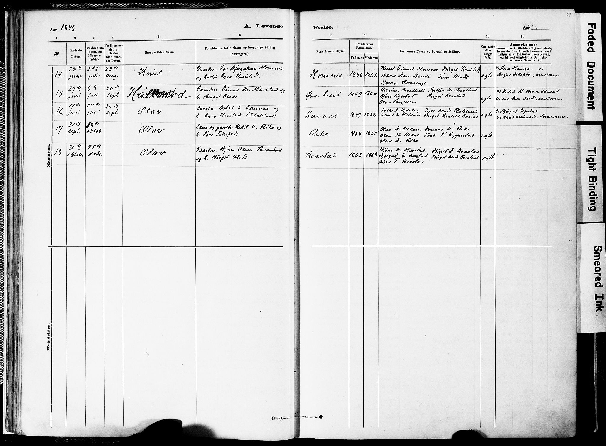 Valle sokneprestkontor, AV/SAK-1111-0044/F/Fa/Fac/L0009: Parish register (official) no. A 9, 1882-1913, p. 33