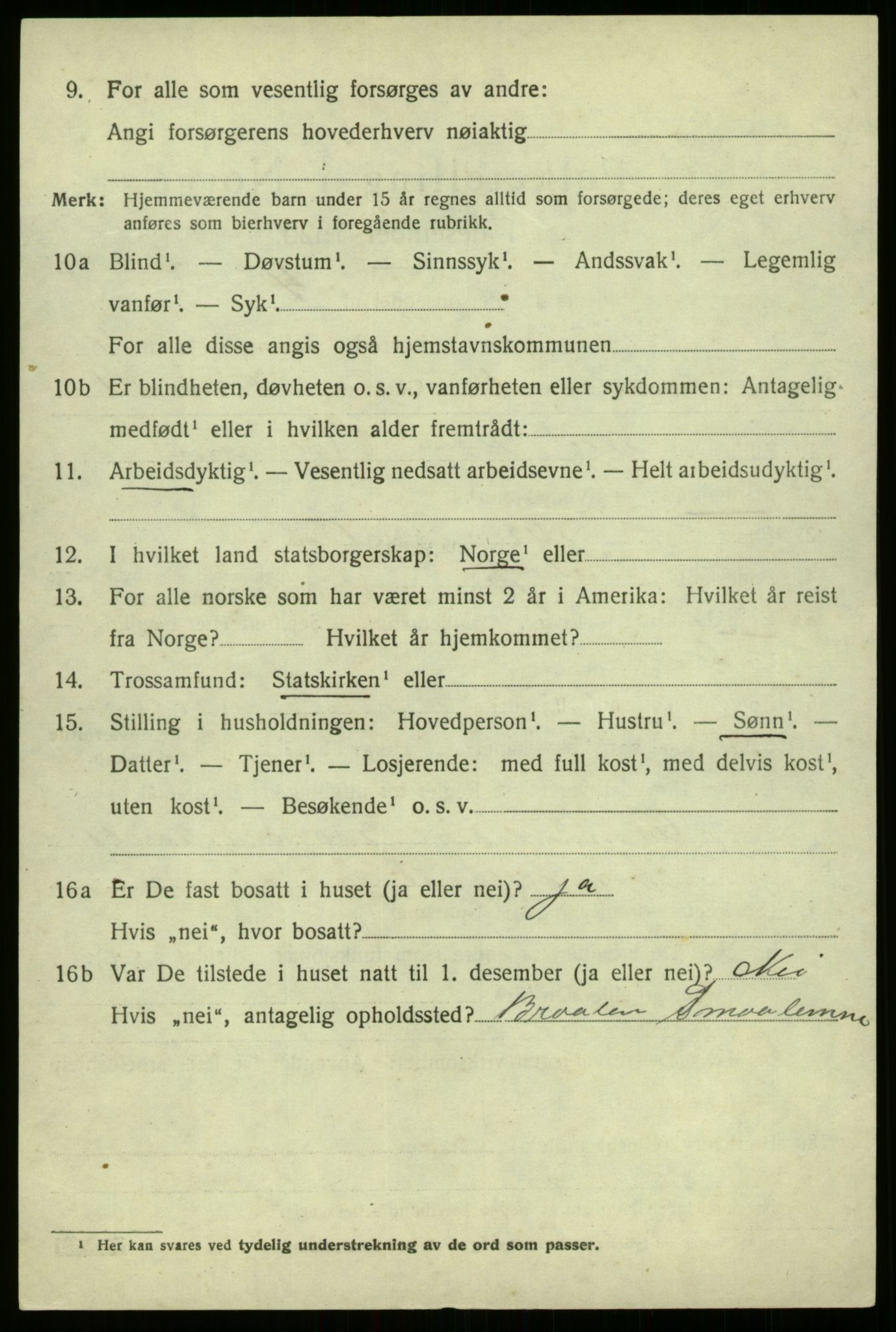 SAB, 1920 census for Hafslo, 1920, p. 2633