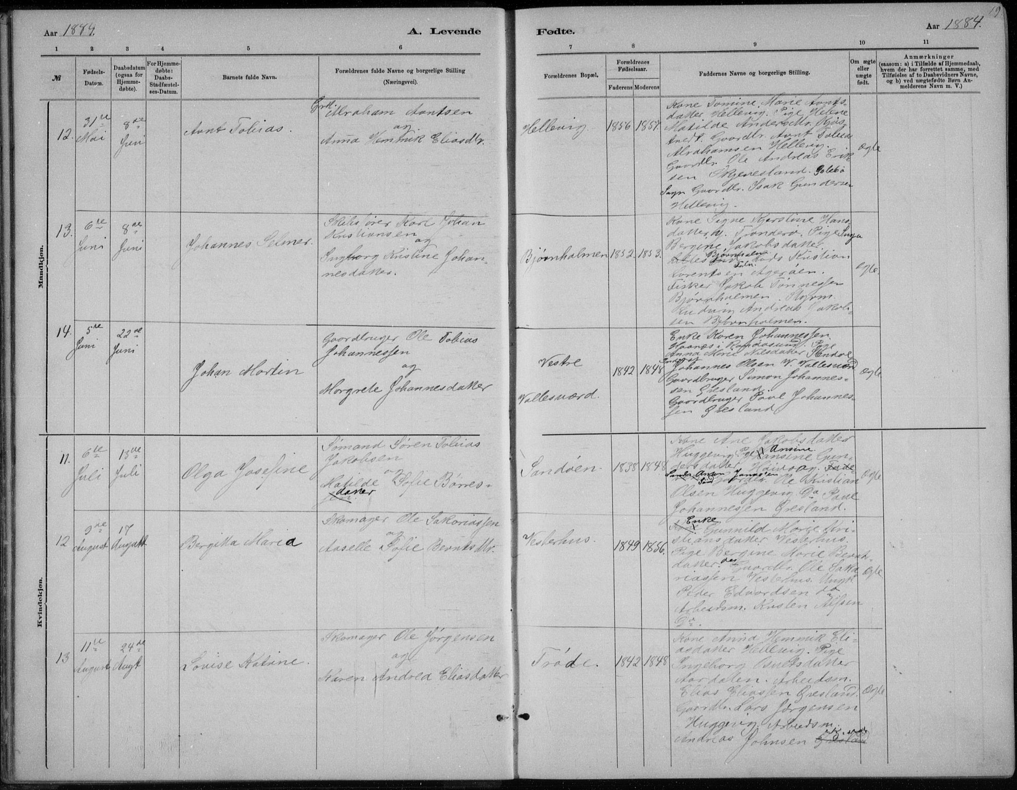 Høvåg sokneprestkontor, AV/SAK-1111-0025/F/Fb/L0004: Parish register (copy) no. B 4, 1883-1898, p. 19