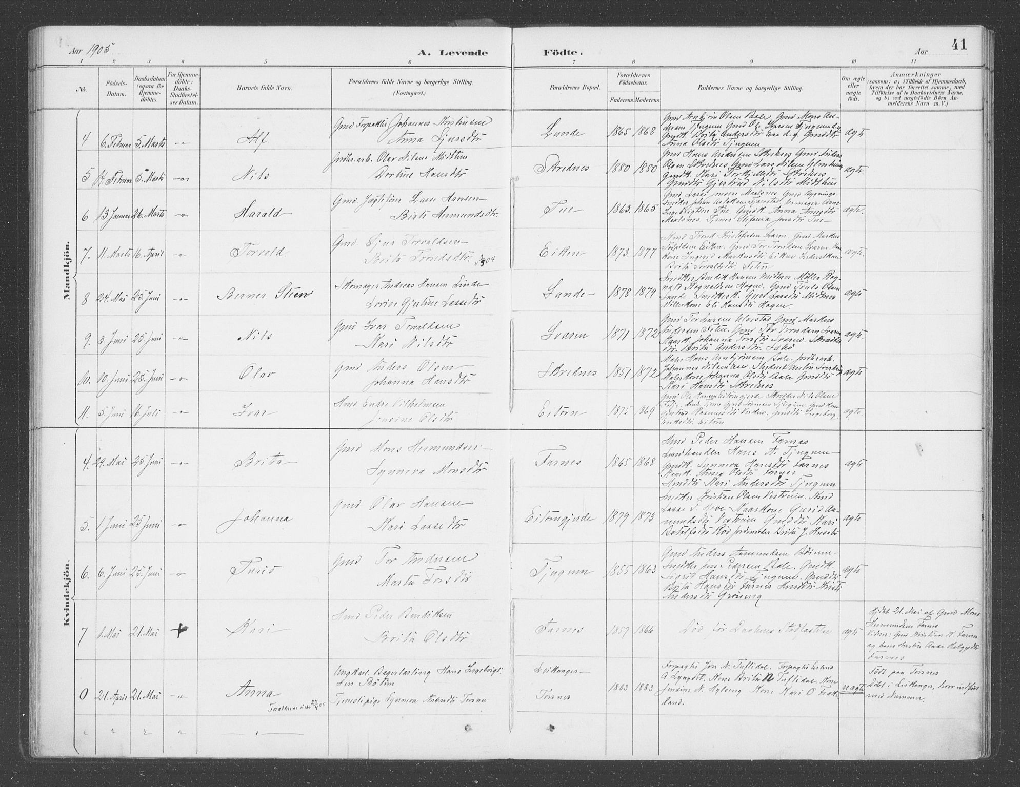 Balestrand sokneprestembete, SAB/A-79601/H/Haa/Haab/L0001: Parish register (official) no. B  1, 1889-1910, p. 41