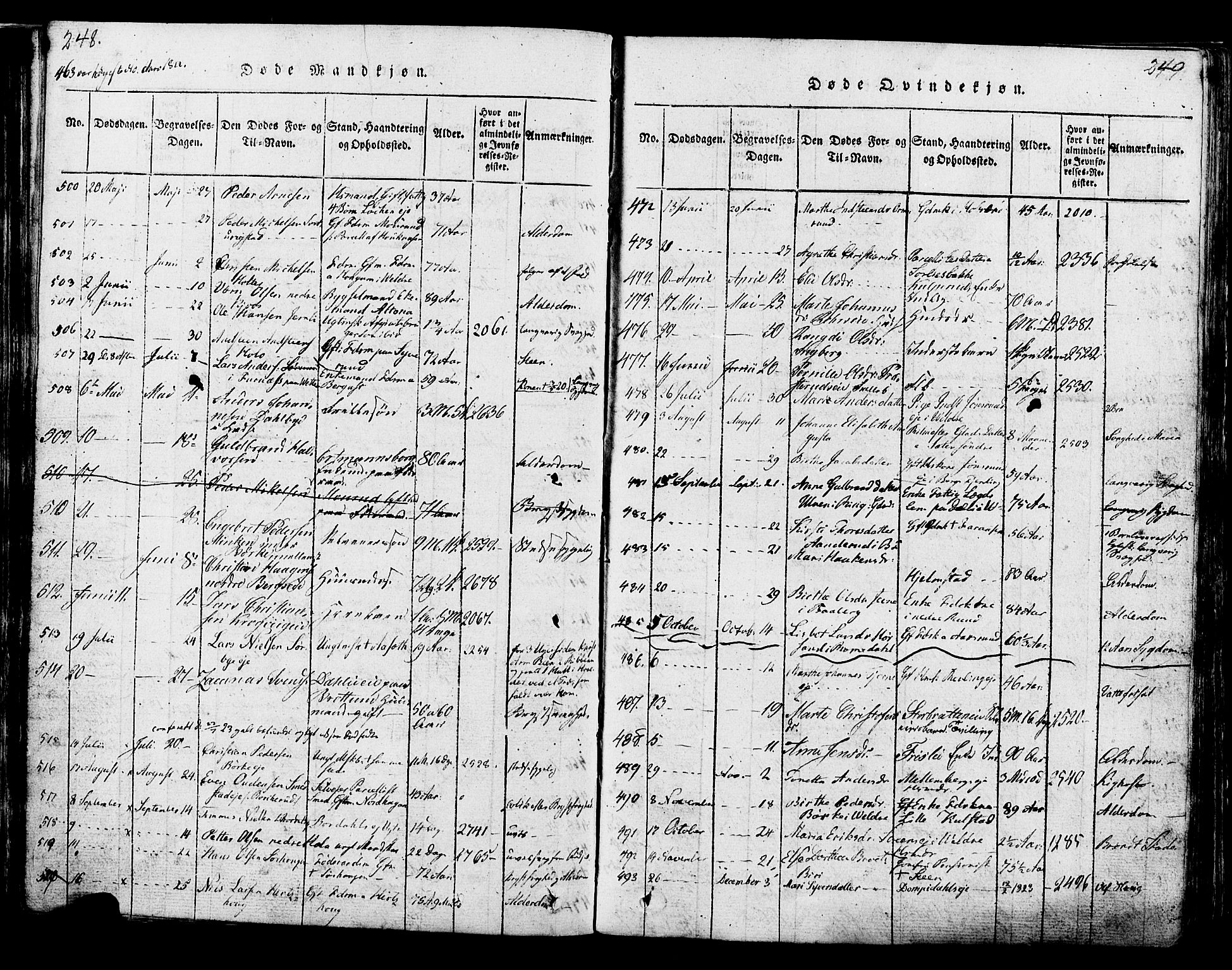 Ringsaker prestekontor, SAH/PREST-014/K/Ka/L0005: Parish register (official) no. 5, 1814-1826, p. 248-249
