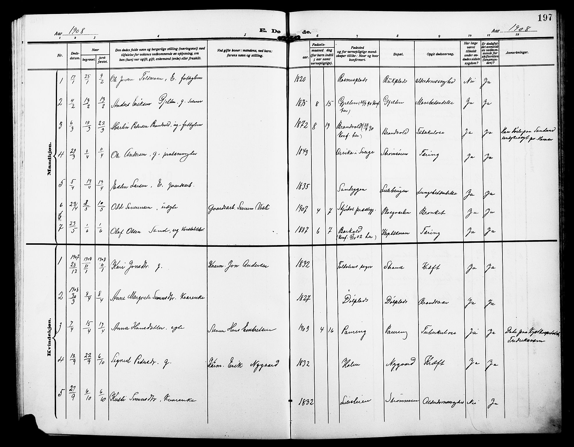 Alvdal prestekontor, AV/SAH-PREST-060/H/Ha/Hab/L0005: Parish register (copy) no. 5, 1908-1923, p. 197