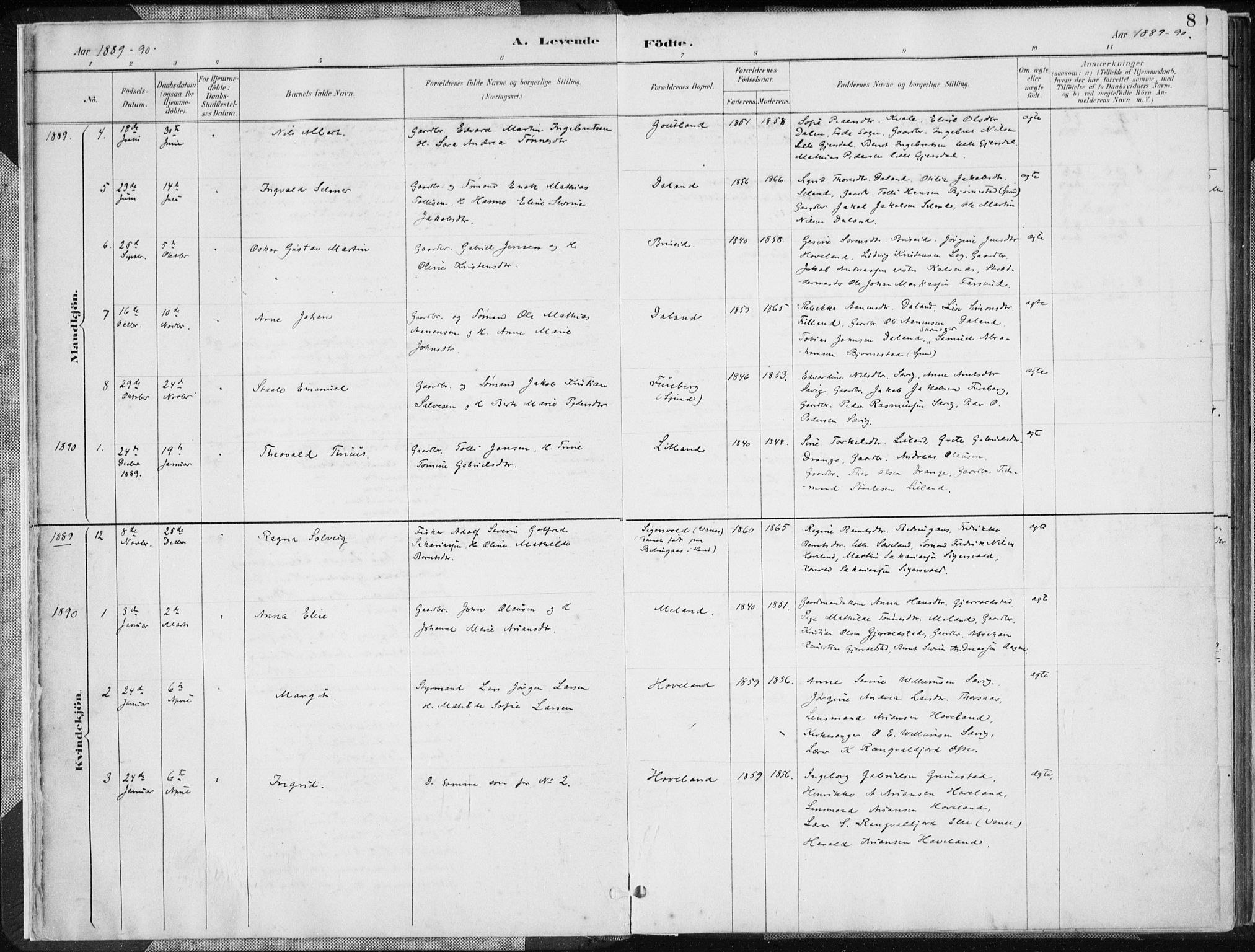 Herad sokneprestkontor, AV/SAK-1111-0018/F/Fa/Faa/L0006: Parish register (official) no. A 6, 1887-1907, p. 8