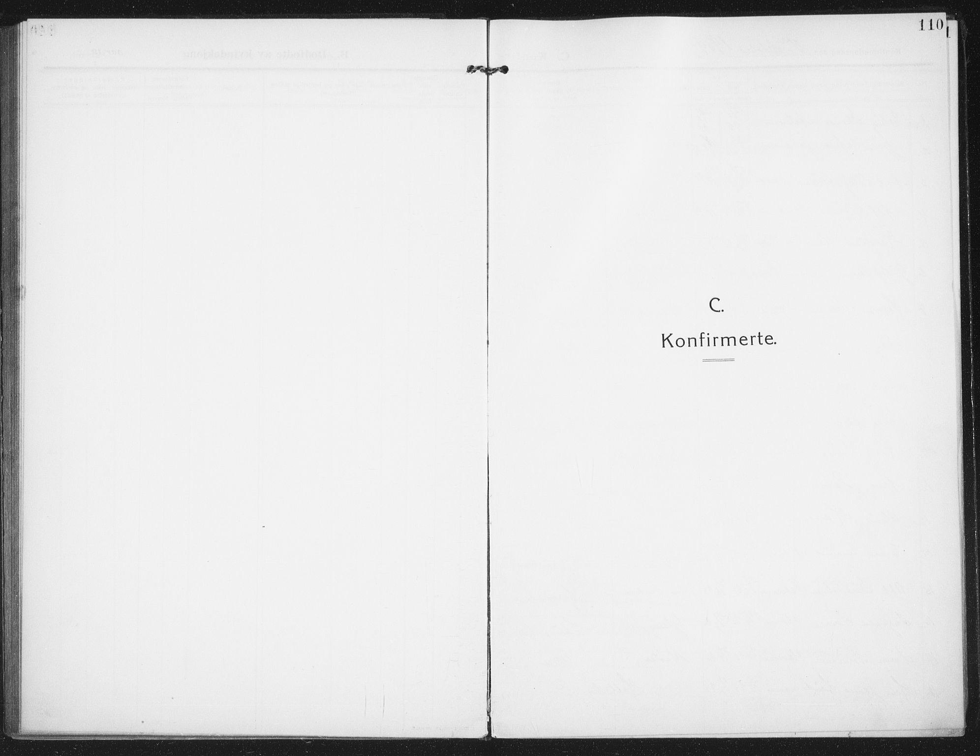 Rolvsøy prestekontor Kirkebøker, AV/SAO-A-2004/F/Fa/L0002: Parish register (official) no. 2, 1909-1917, p. 110