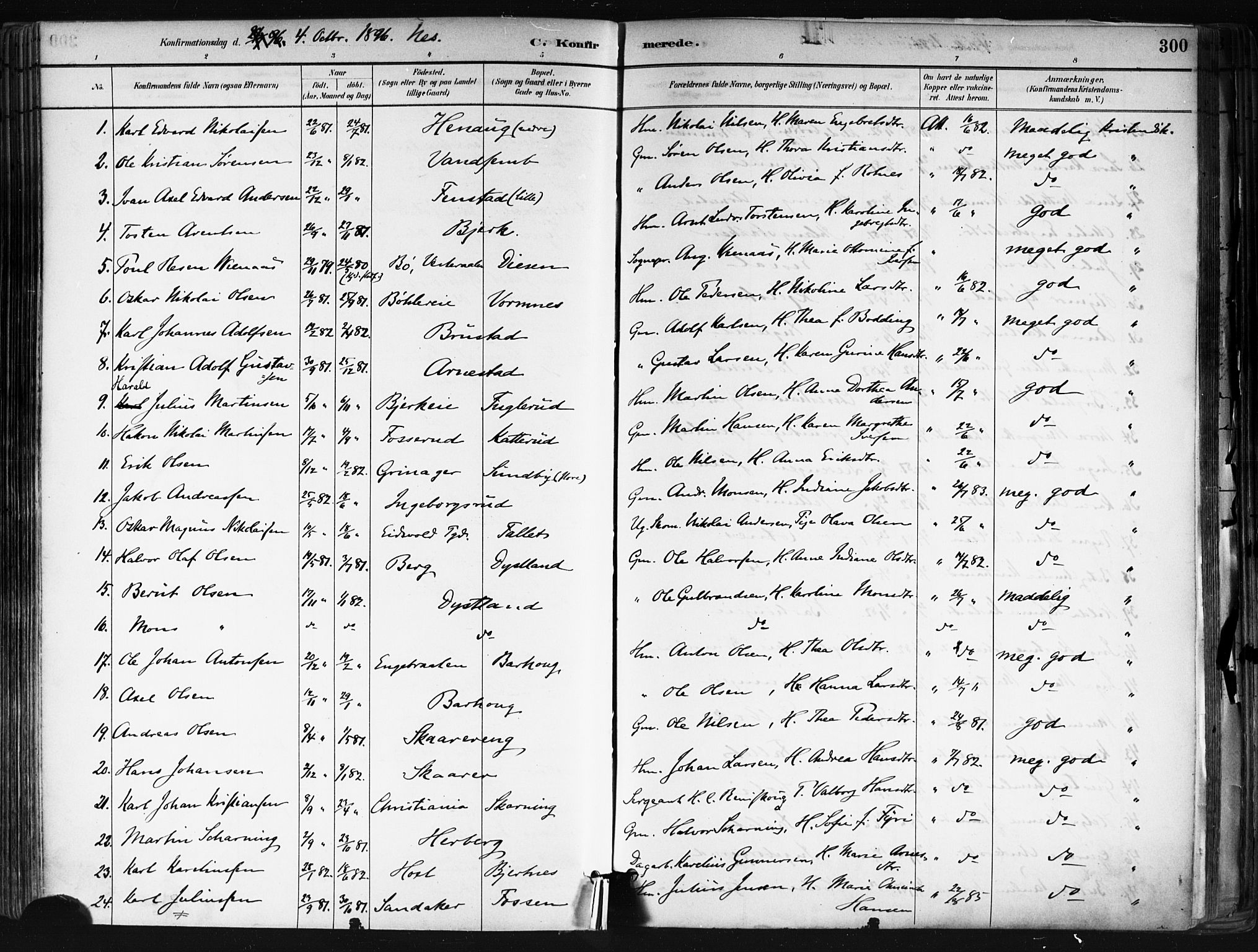 Nes prestekontor Kirkebøker, SAO/A-10410/F/Fa/L0010: Parish register (official) no. I 10, 1883-1898, p. 300