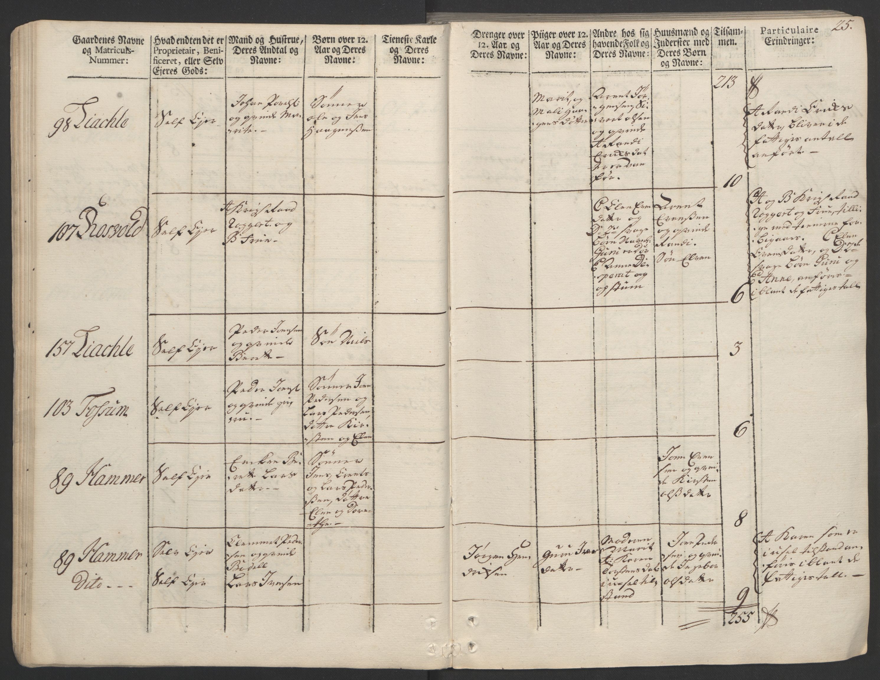 Rentekammeret inntil 1814, Realistisk ordnet avdeling, AV/RA-EA-4070/Ol/L0020/0002: [Gg 10]: Ekstraskatten, 23.09.1762. Romsdal, Strinda, Selbu, Inderøy. / Strinda og Selbu, 1763, p. 25