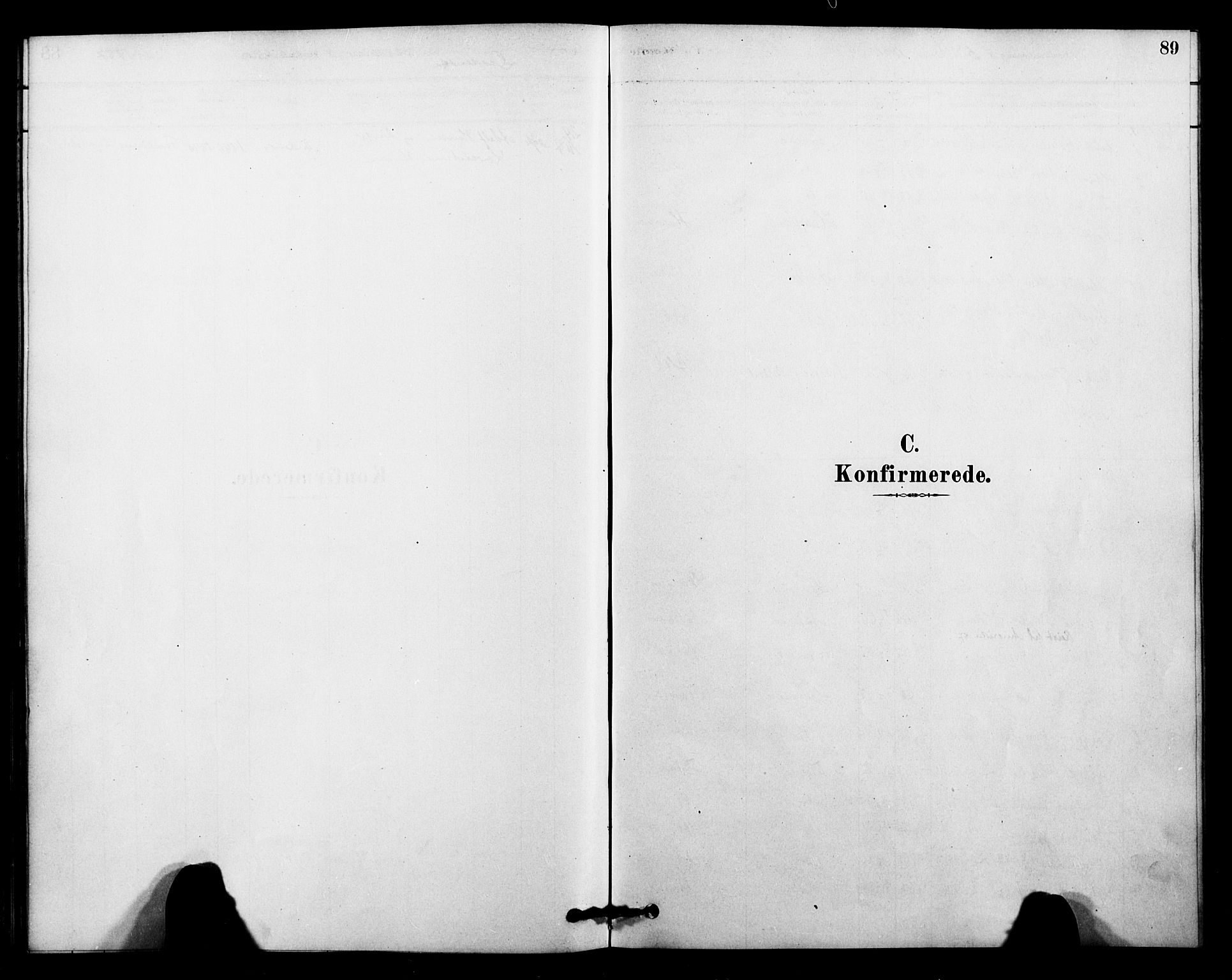 Ministerialprotokoller, klokkerbøker og fødselsregistre - Nordland, SAT/A-1459/899/L1436: Parish register (official) no. 899A04, 1881-1896, p. 89