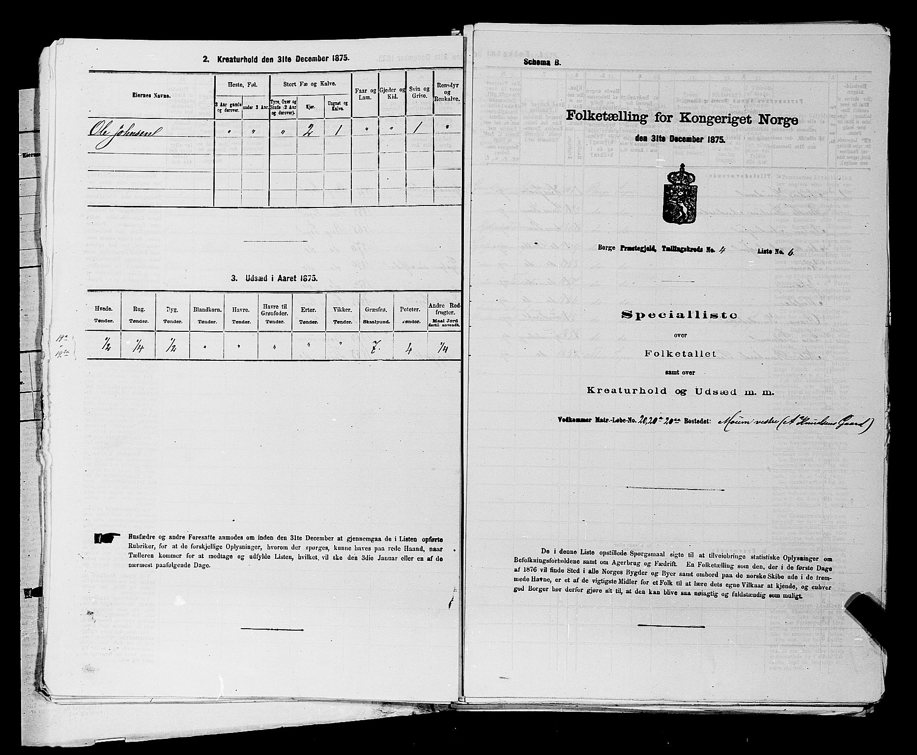 RA, 1875 census for 0113P Borge, 1875, p. 527