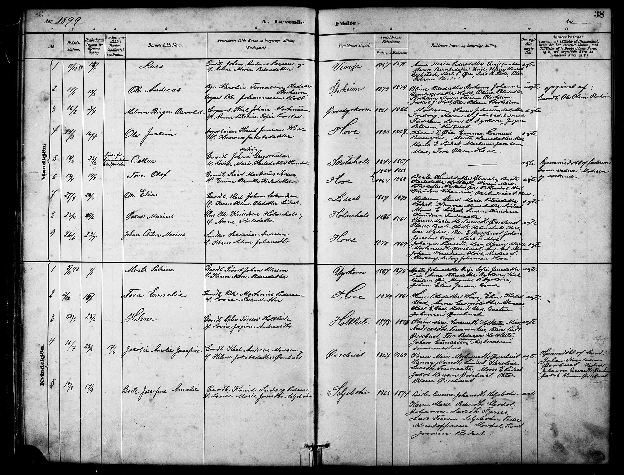 Ministerialprotokoller, klokkerbøker og fødselsregistre - Møre og Romsdal, AV/SAT-A-1454/521/L0302: Parish register (copy) no. 521C03, 1882-1907, p. 38