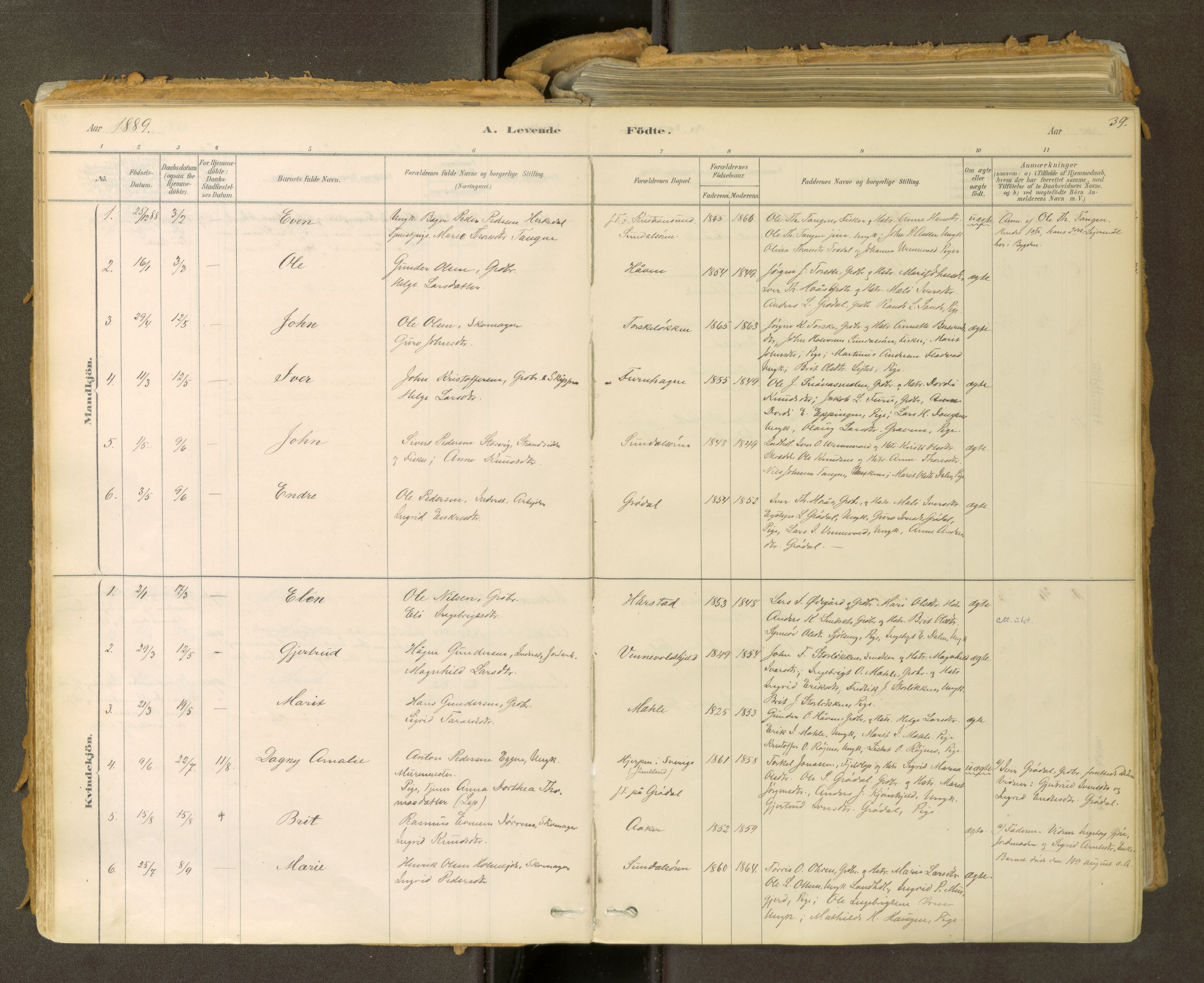 Sunndal sokneprestkontor, SAT/A-1085/1/I/I1/I1a: Parish register (official) no. 2, 1877-1914, p. 39