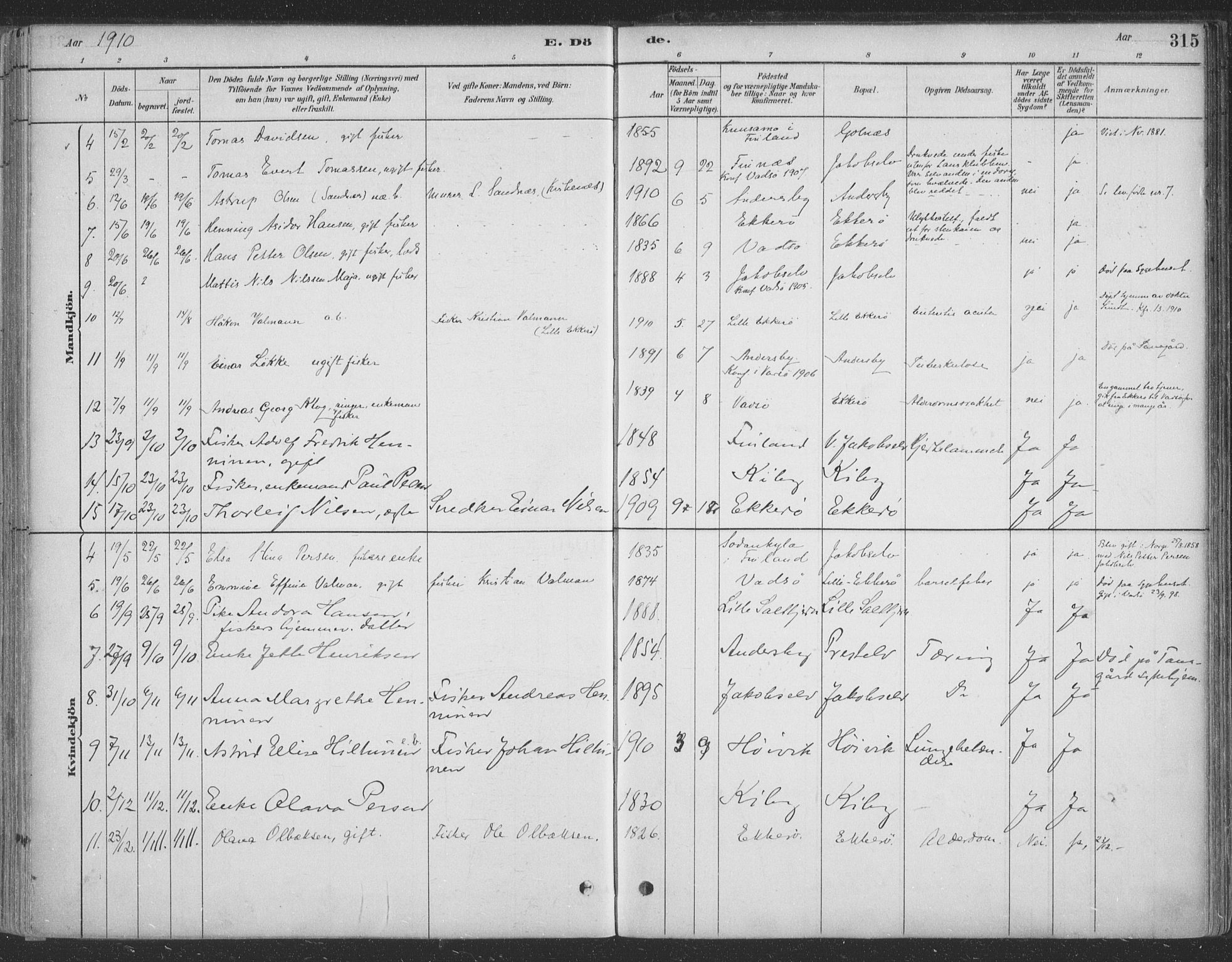 Vadsø sokneprestkontor, SATØ/S-1325/H/Ha/L0009kirke: Parish register (official) no. 9, 1881-1917, p. 315
