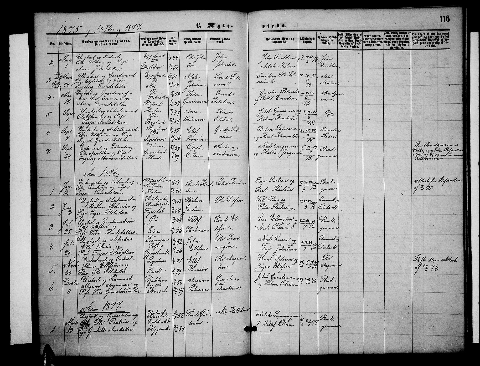Åmli sokneprestkontor, SAK/1111-0050/F/Fb/Fbc/L0003: Parish register (copy) no. B 3, 1868-1888, p. 116
