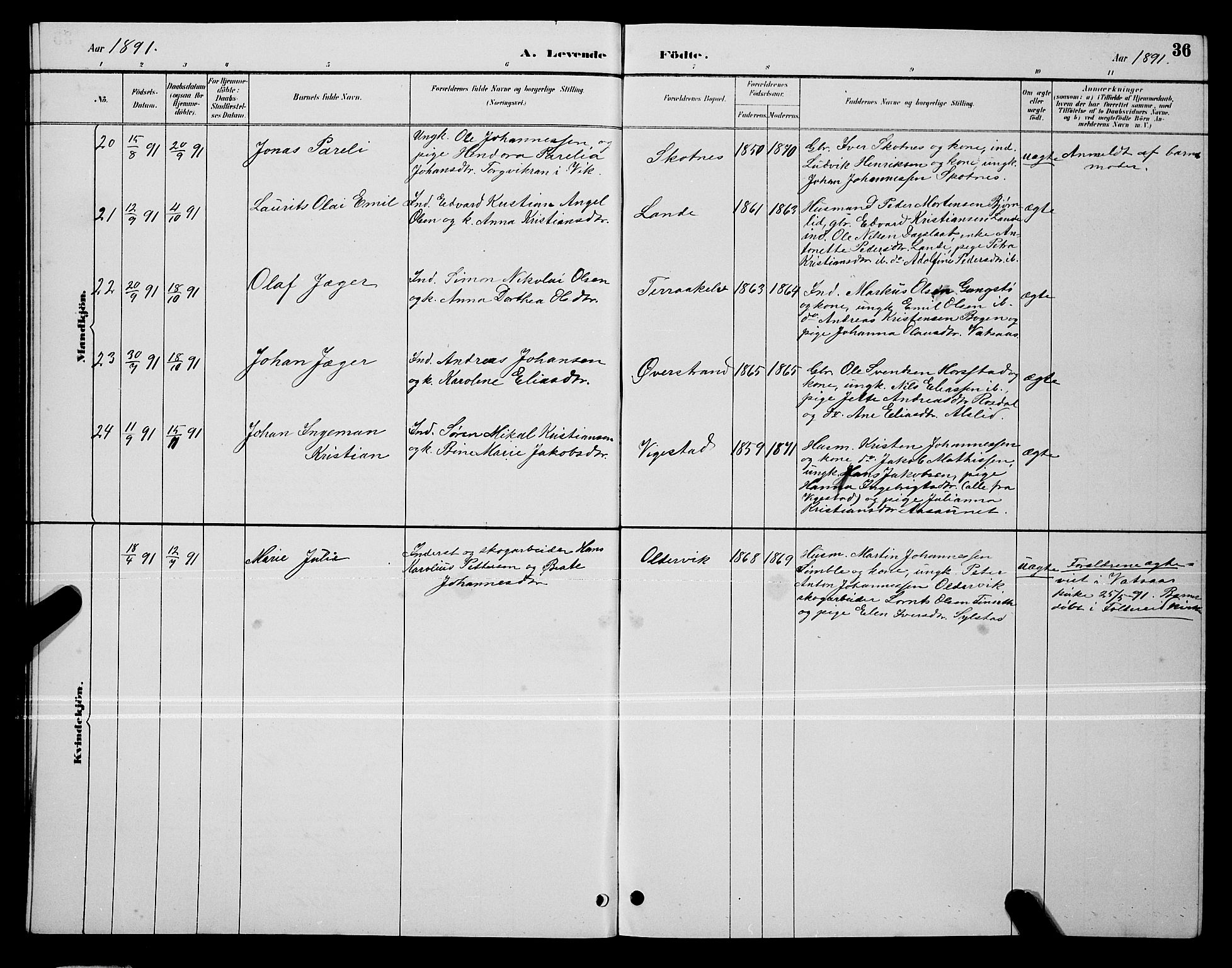 Ministerialprotokoller, klokkerbøker og fødselsregistre - Nordland, SAT/A-1459/810/L0160: Parish register (copy) no. 810C03, 1884-1896, p. 36