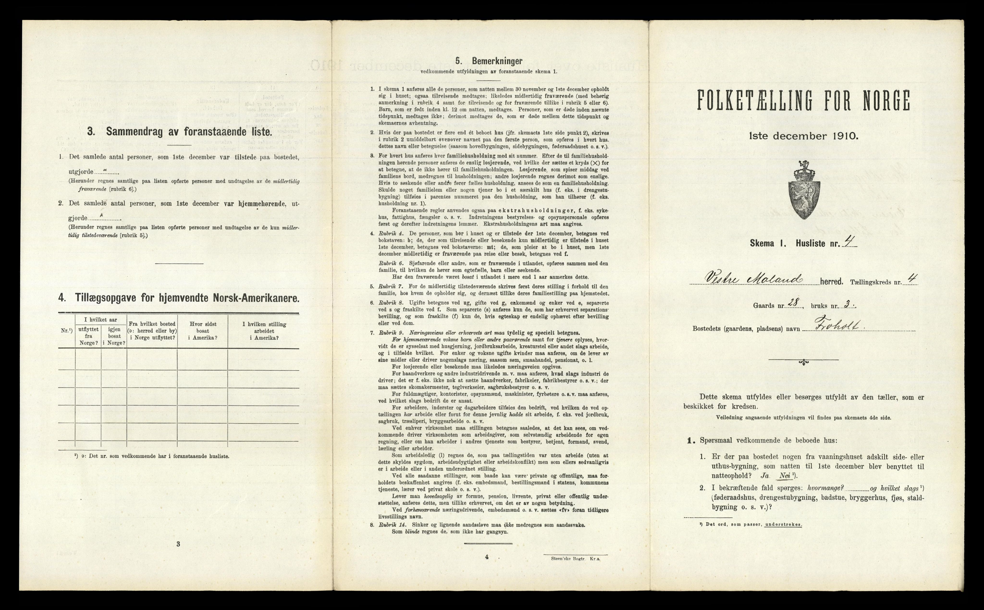 RA, 1910 census for Vestre Moland, 1910, p. 594