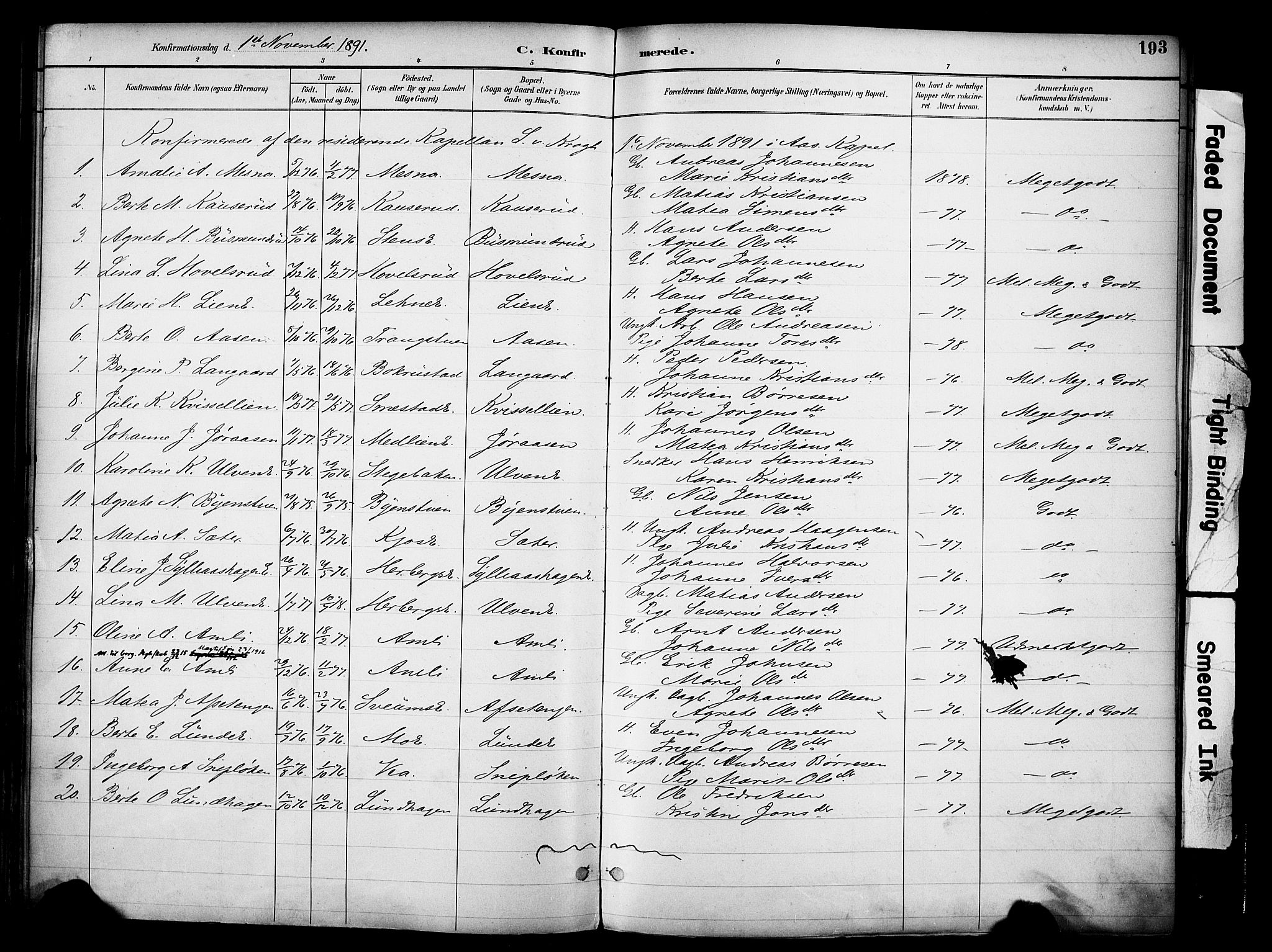 Ringsaker prestekontor, AV/SAH-PREST-014/K/Ka/L0017: Parish register (official) no. 17, 1891-1902, p. 193