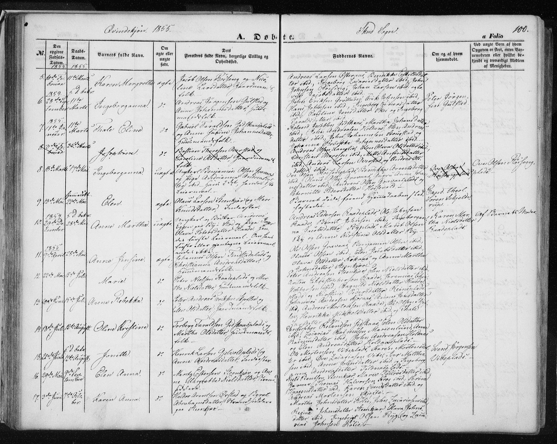 Ministerialprotokoller, klokkerbøker og fødselsregistre - Nord-Trøndelag, AV/SAT-A-1458/735/L0342: Parish register (official) no. 735A07 /2, 1849-1862, p. 100