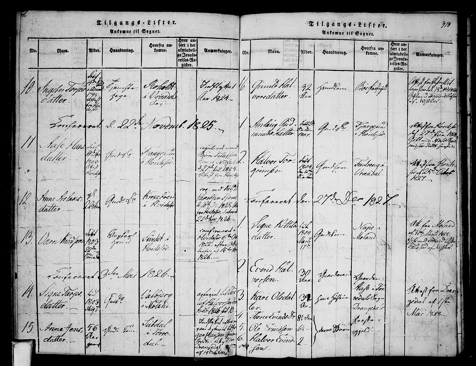 Nissedal kirkebøker, SAKO/A-288/F/Fa/L0002: Parish register (official) no. I 2, 1814-1845, p. 313