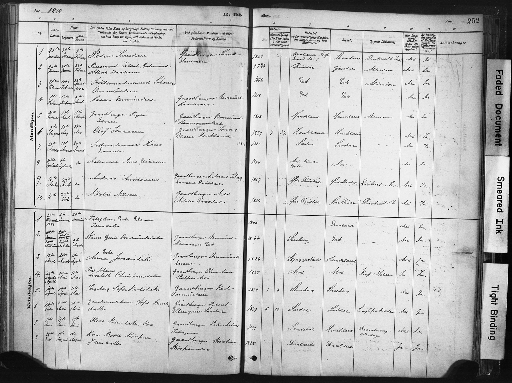 Lund sokneprestkontor, AV/SAST-A-101809/S06/L0011: Parish register (official) no. A 10, 1877-1904, p. 252