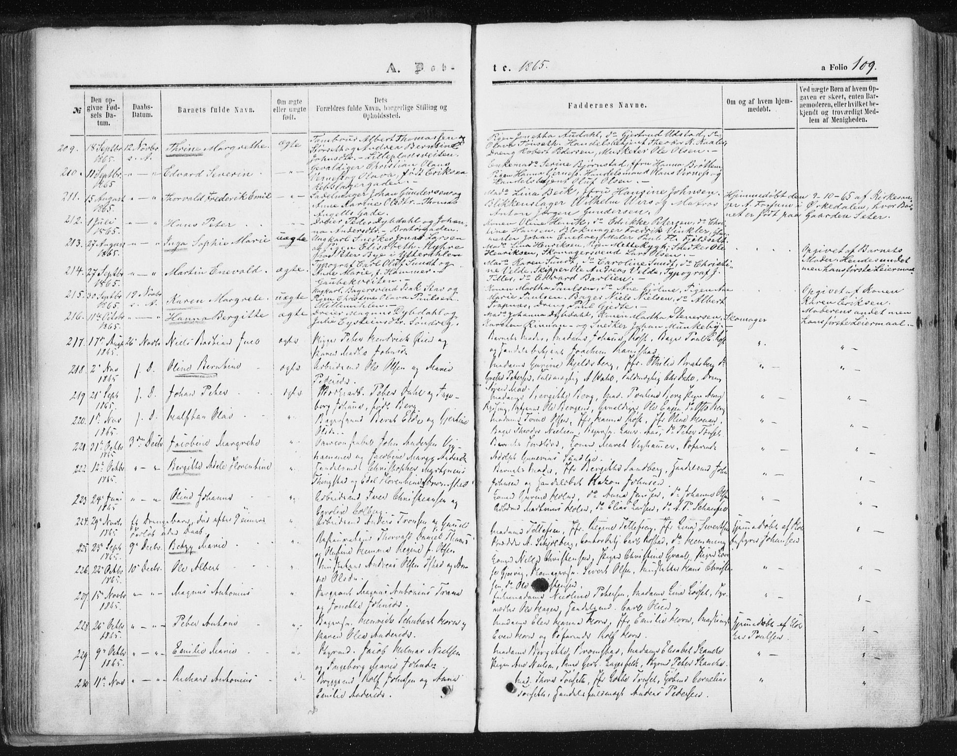 Ministerialprotokoller, klokkerbøker og fødselsregistre - Sør-Trøndelag, SAT/A-1456/602/L0115: Parish register (official) no. 602A13, 1860-1872, p. 109