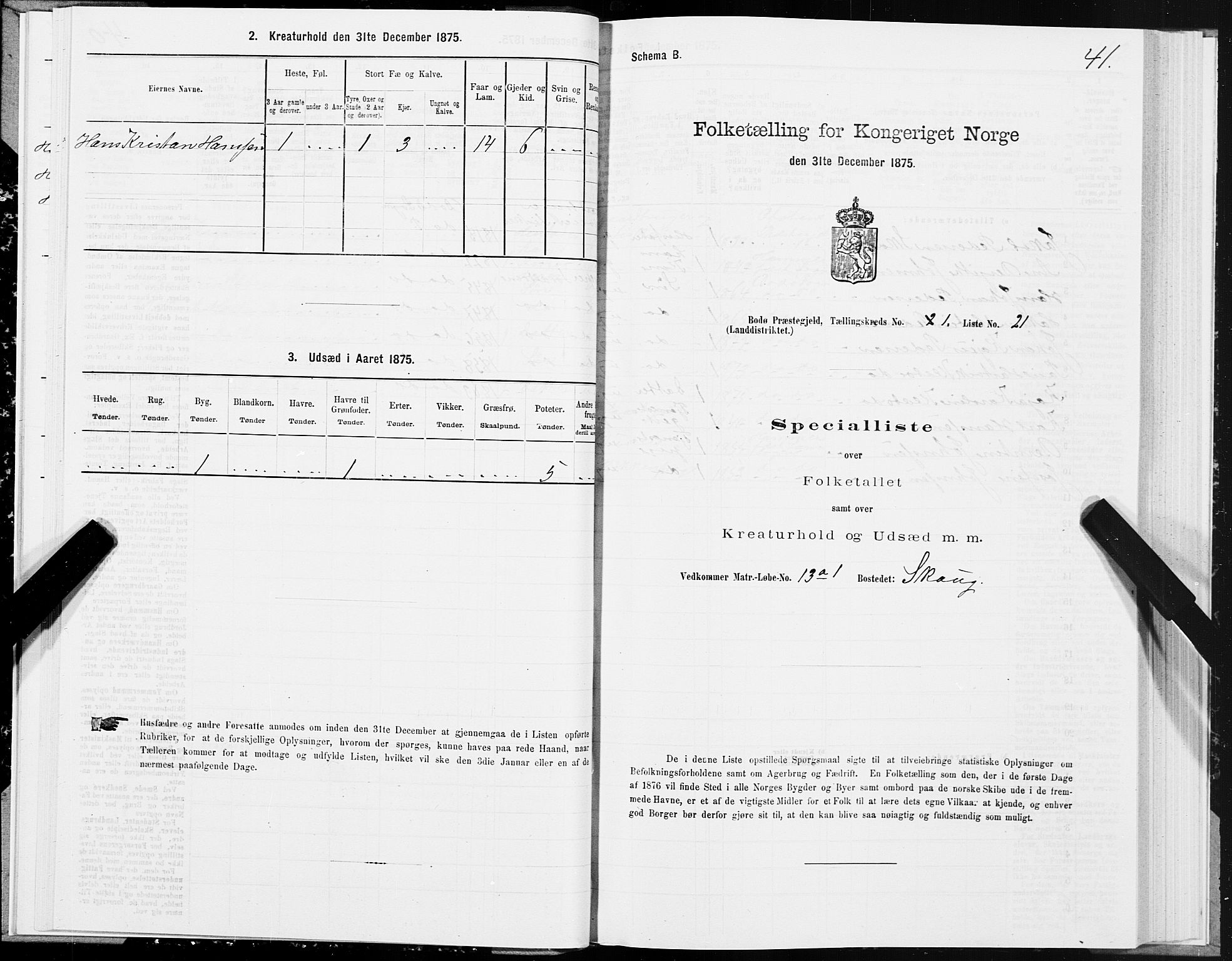 SAT, 1875 census for 1843L Bodø/Bodø, 1875, p. 1041