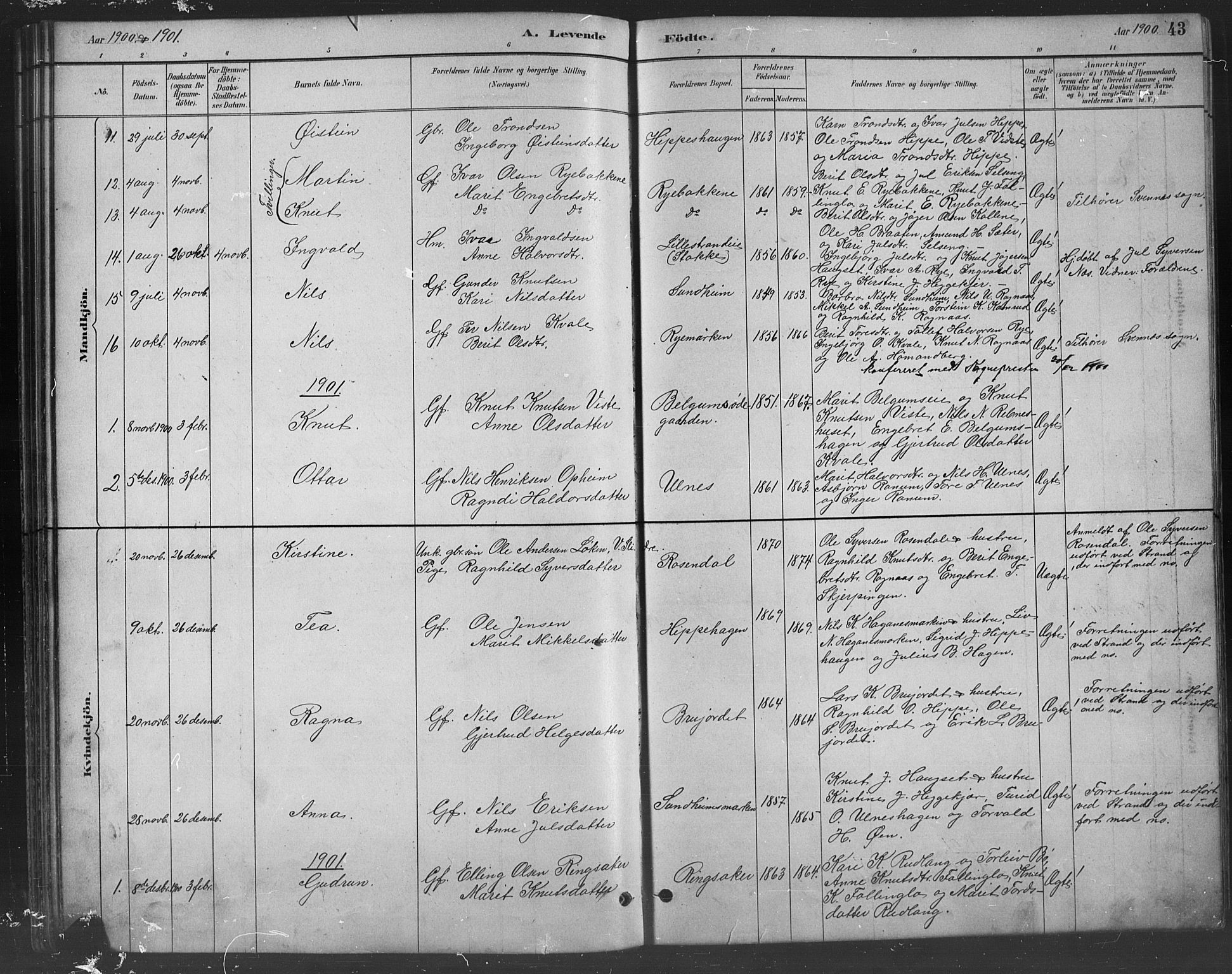 Nord-Aurdal prestekontor, SAH/PREST-132/H/Ha/Hab/L0008: Parish register (copy) no. 8, 1883-1916, p. 43