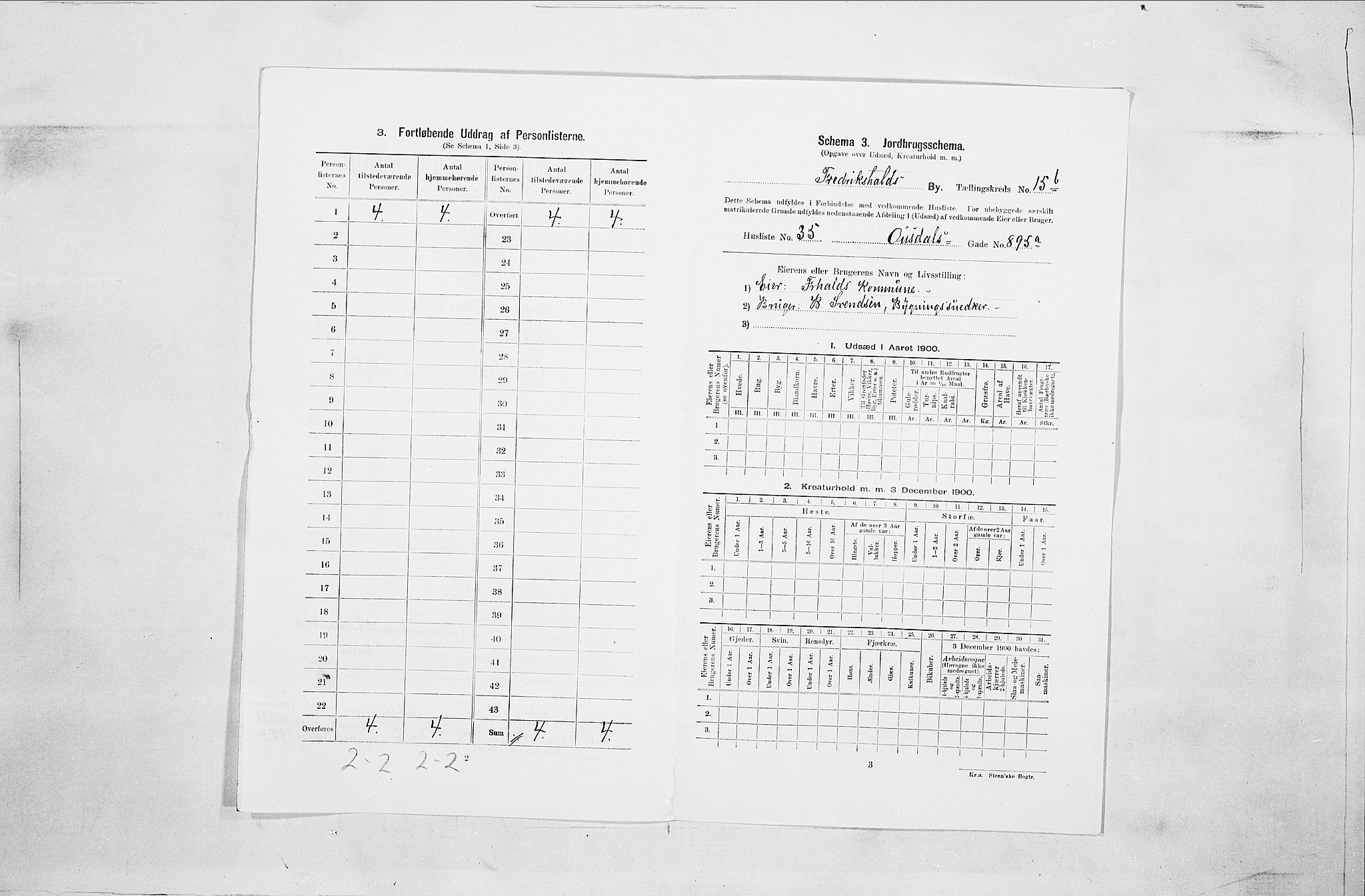 SAO, 1900 census for Fredrikshald, 1900