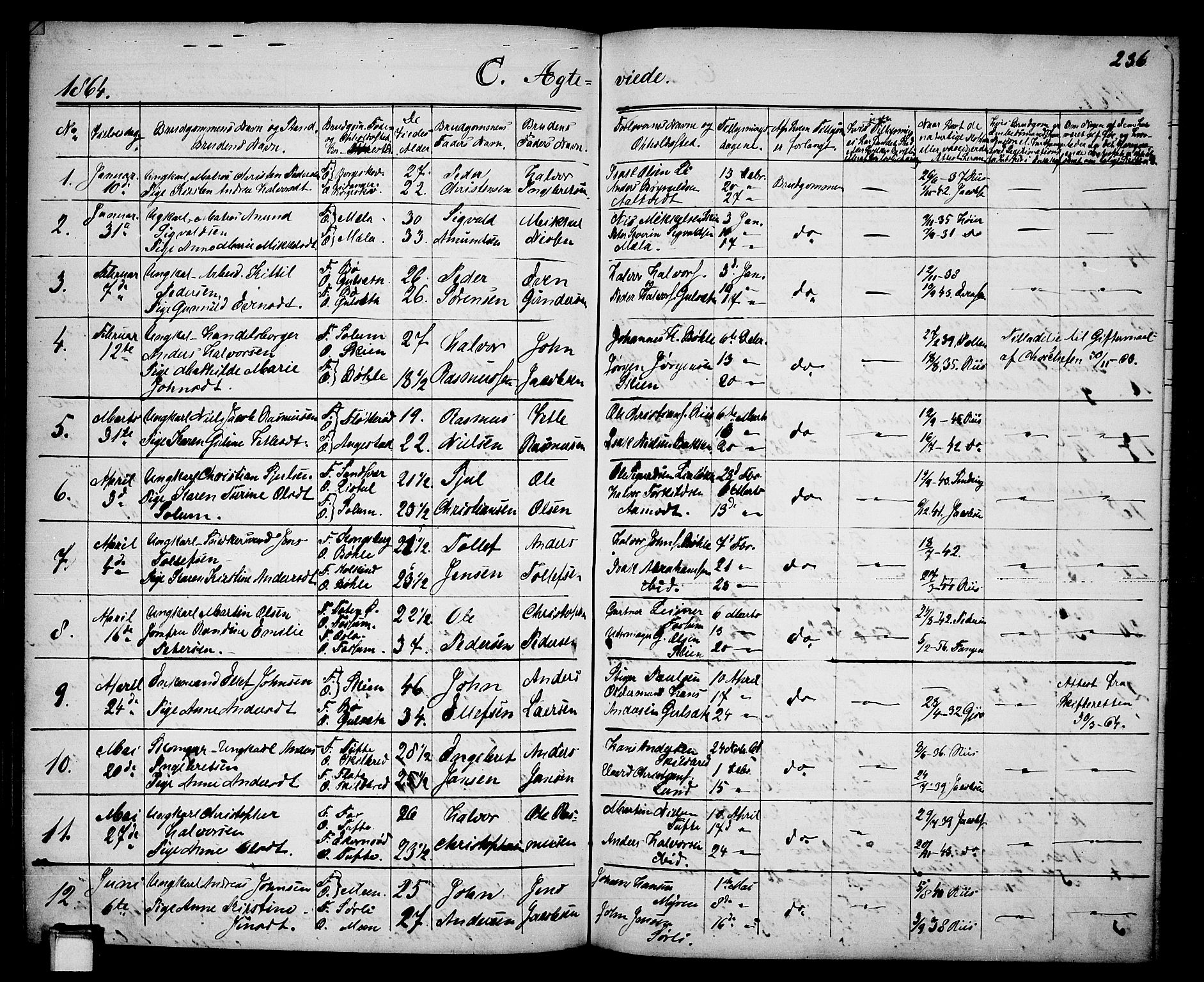 Gjerpen kirkebøker, AV/SAKO-A-265/G/Ga/L0001: Parish register (copy) no. I 1, 1864-1882, p. 236