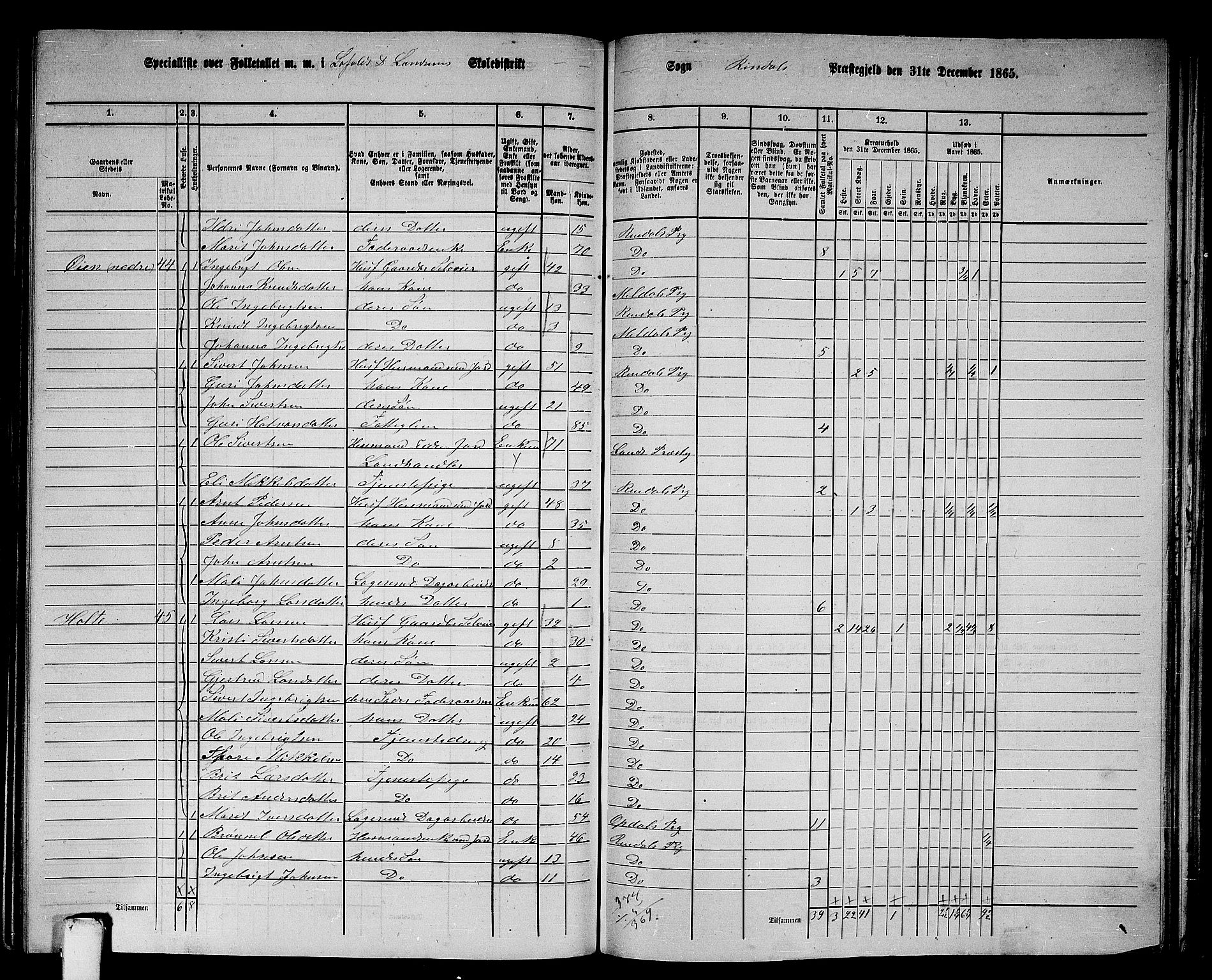 RA, 1865 census for Rindal, 1865, p. 48