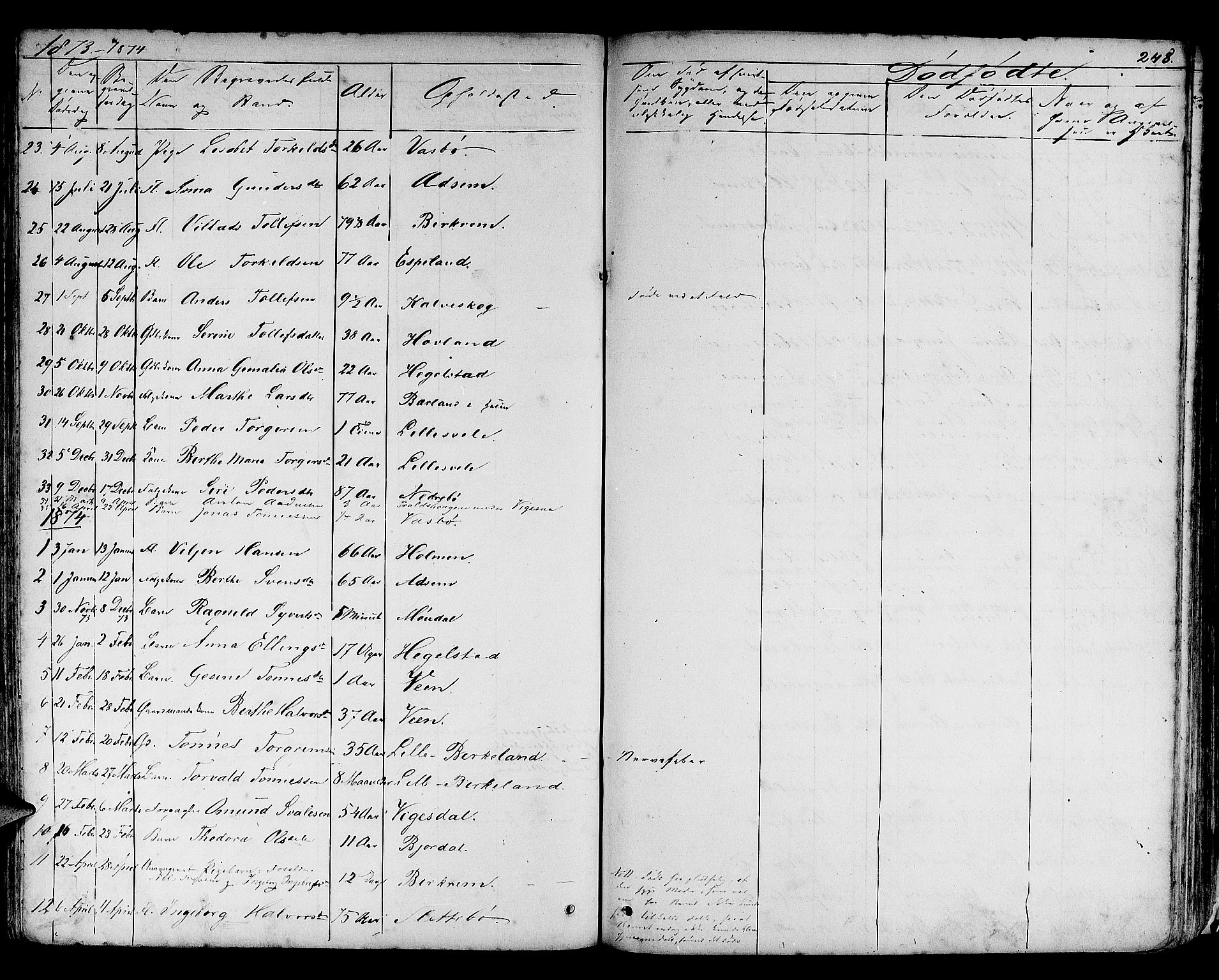 Helleland sokneprestkontor, SAST/A-101810: Parish register (copy) no. B 3, 1847-1886, p. 248
