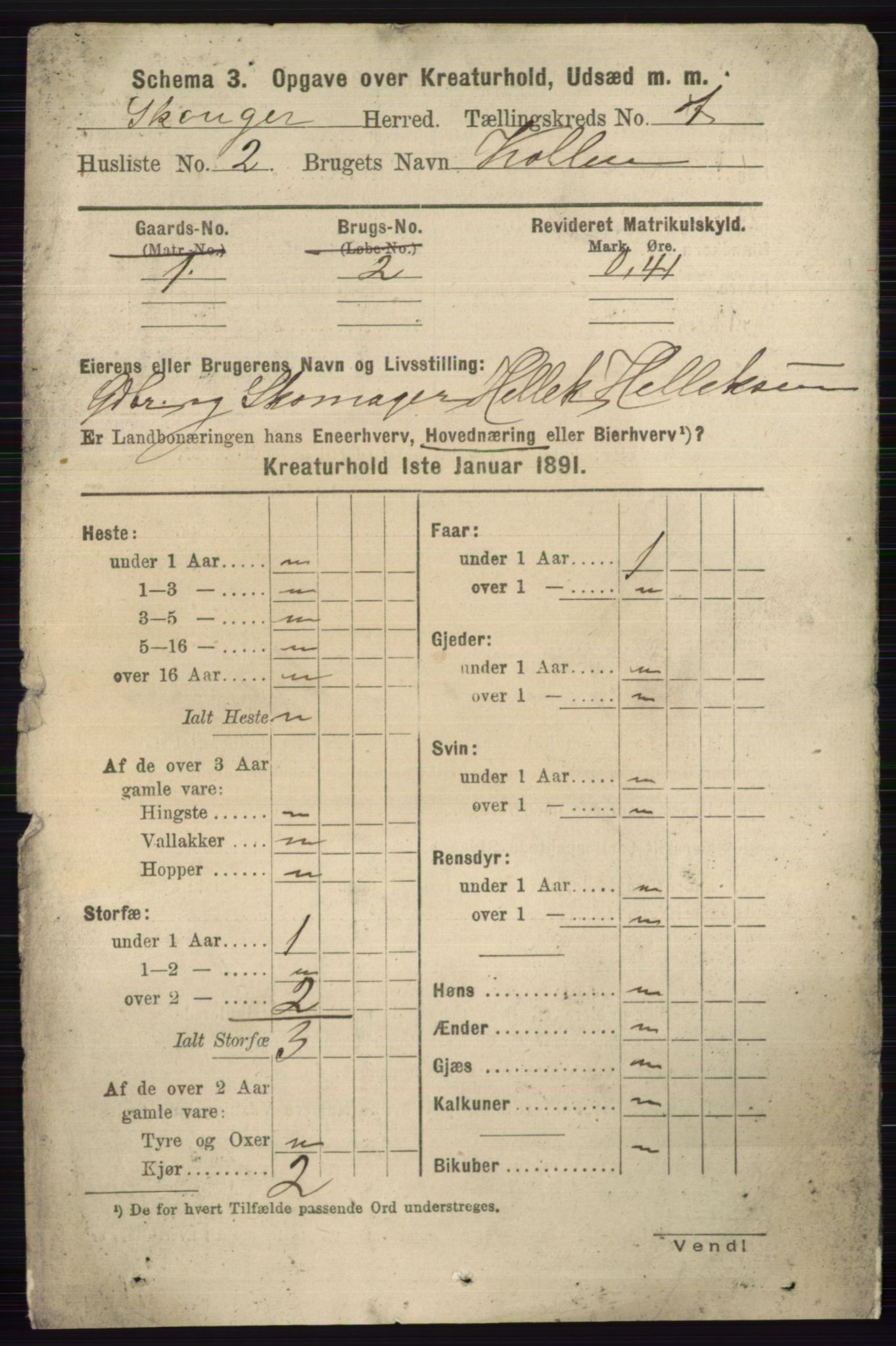 RA, 1891 census for 0712 Skoger, 1891, p. 4317