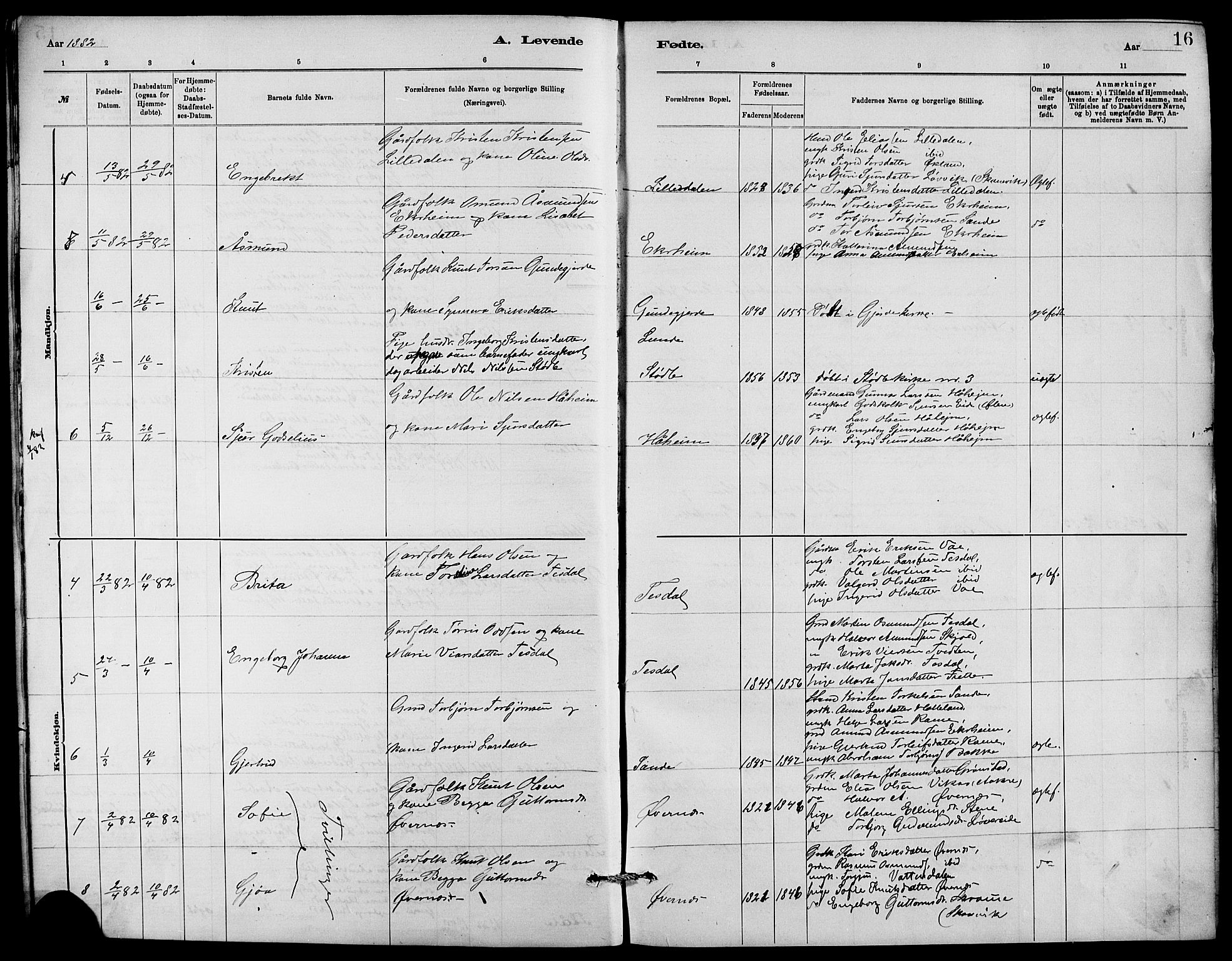 Etne sokneprestembete, AV/SAB-A-75001/H/Hab: Parish register (copy) no. C 4, 1879-1896, p. 16