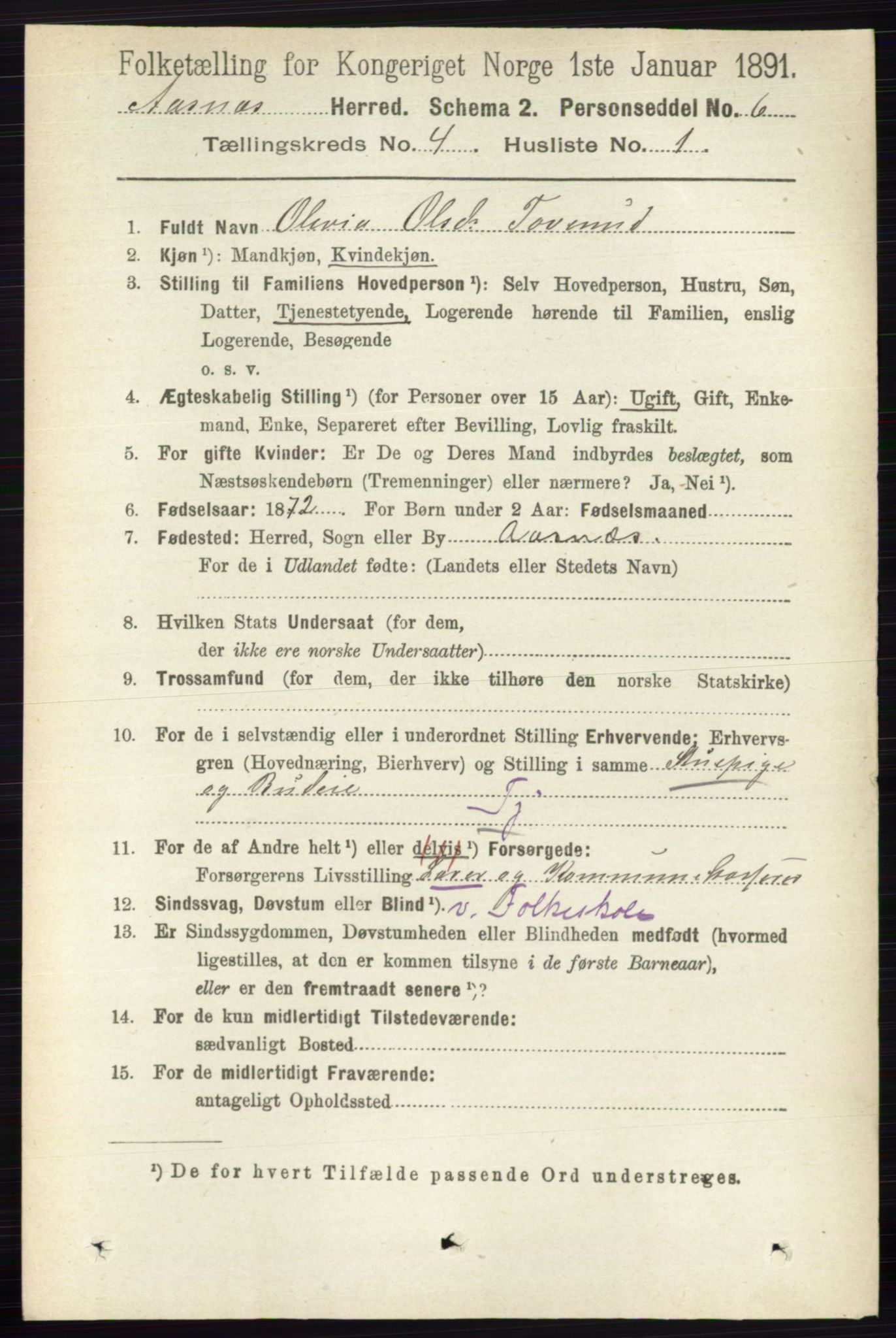 RA, 1891 census for 0425 Åsnes, 1891, p. 1676