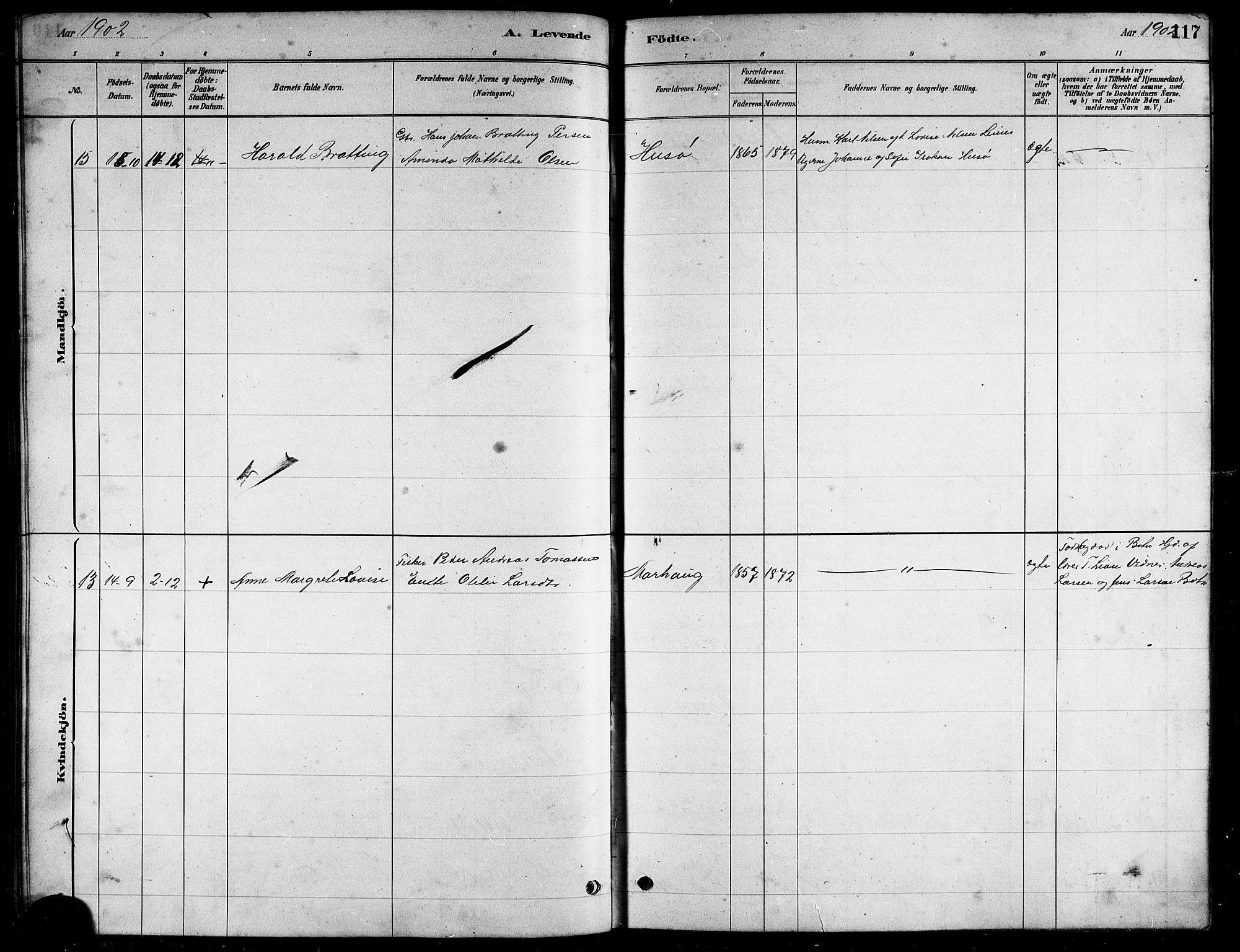 Ministerialprotokoller, klokkerbøker og fødselsregistre - Nordland, AV/SAT-A-1459/857/L0828: Parish register (copy) no. 857C03, 1879-1908, p. 117