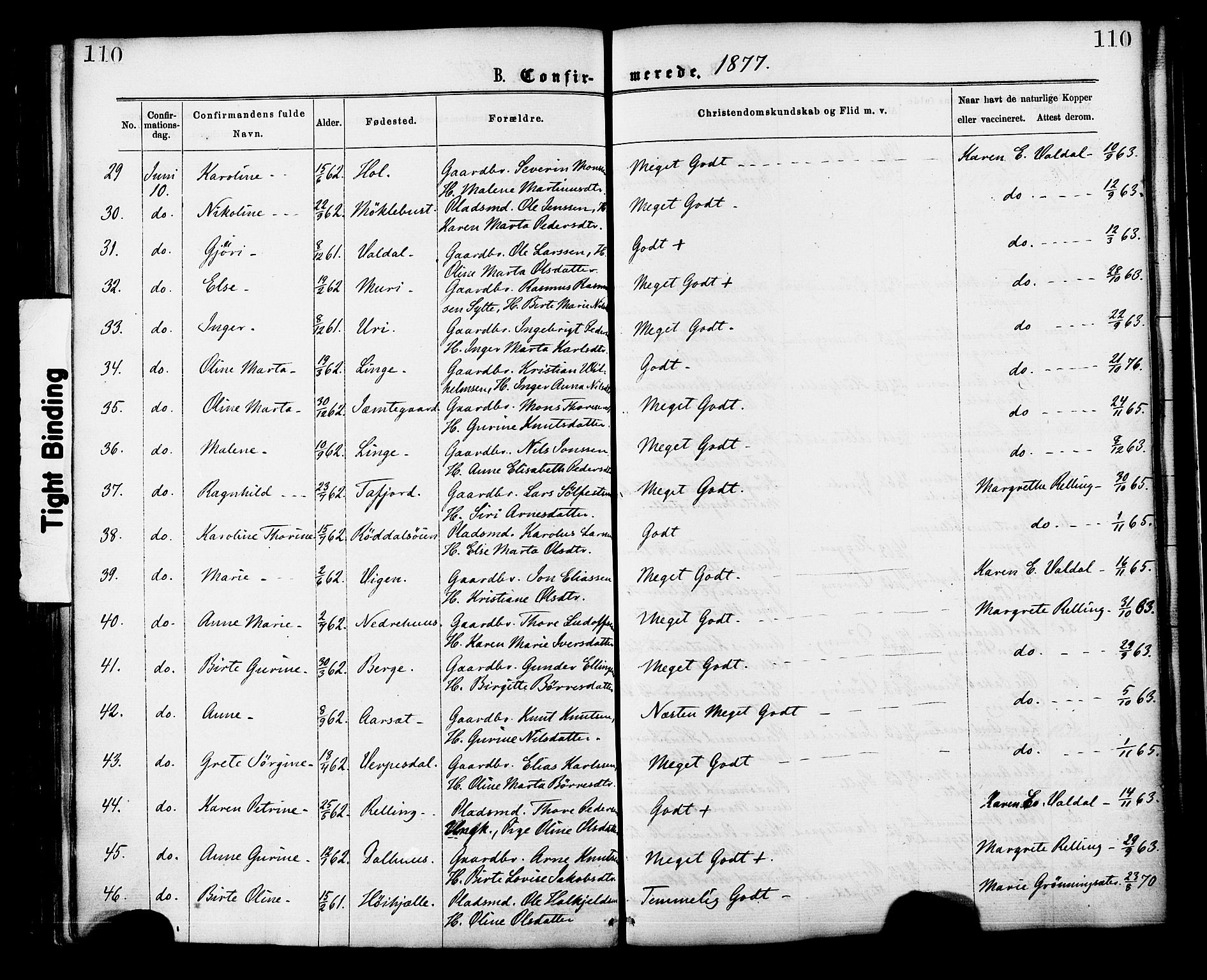 Ministerialprotokoller, klokkerbøker og fødselsregistre - Møre og Romsdal, AV/SAT-A-1454/519/L0254: Parish register (official) no. 519A13, 1868-1883, p. 110