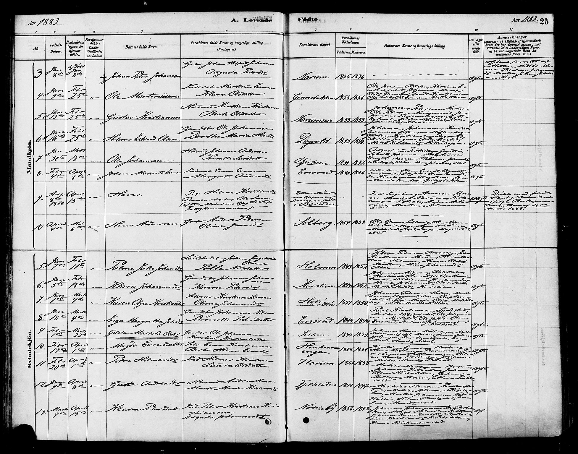 Vestre Toten prestekontor, AV/SAH-PREST-108/H/Ha/Haa/L0010: Parish register (official) no. 10, 1878-1894, p. 25