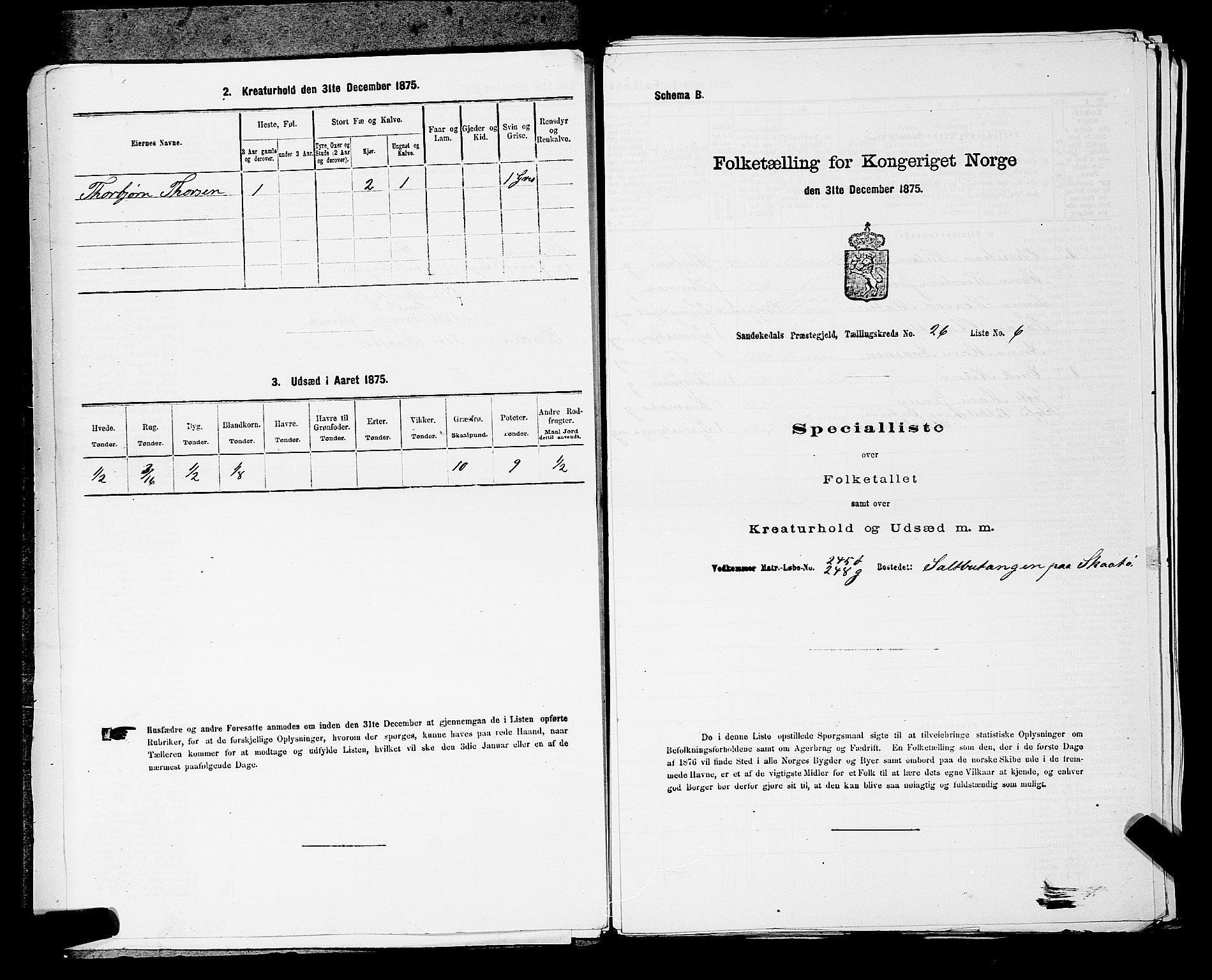 SAKO, 1875 census for 0816P Sannidal, 1875, p. 2024