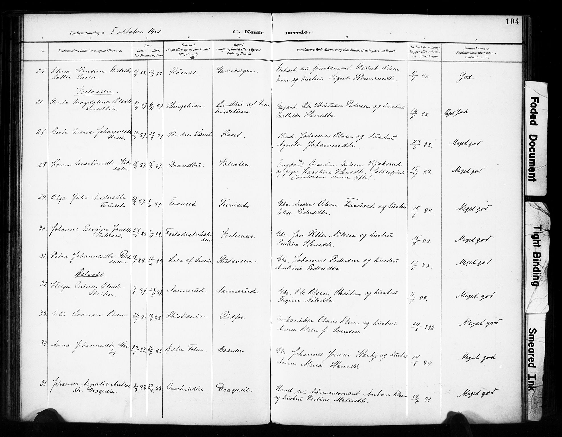 Vestre Toten prestekontor, SAH/PREST-108/H/Ha/Haa/L0011: Parish register (official) no. 11, 1895-1906, p. 194