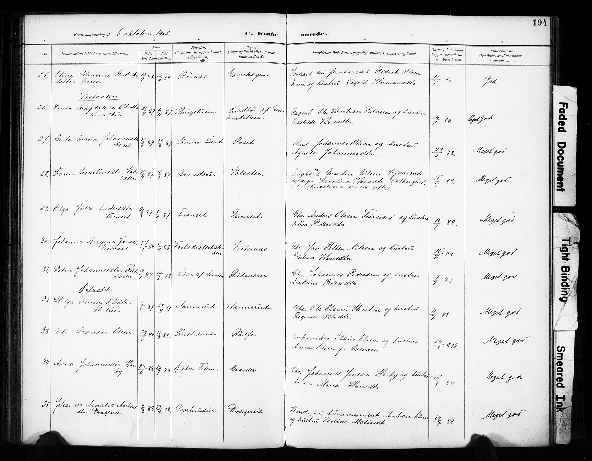Vestre Toten prestekontor, AV/SAH-PREST-108/H/Ha/Haa/L0011: Parish register (official) no. 11, 1895-1906, p. 194