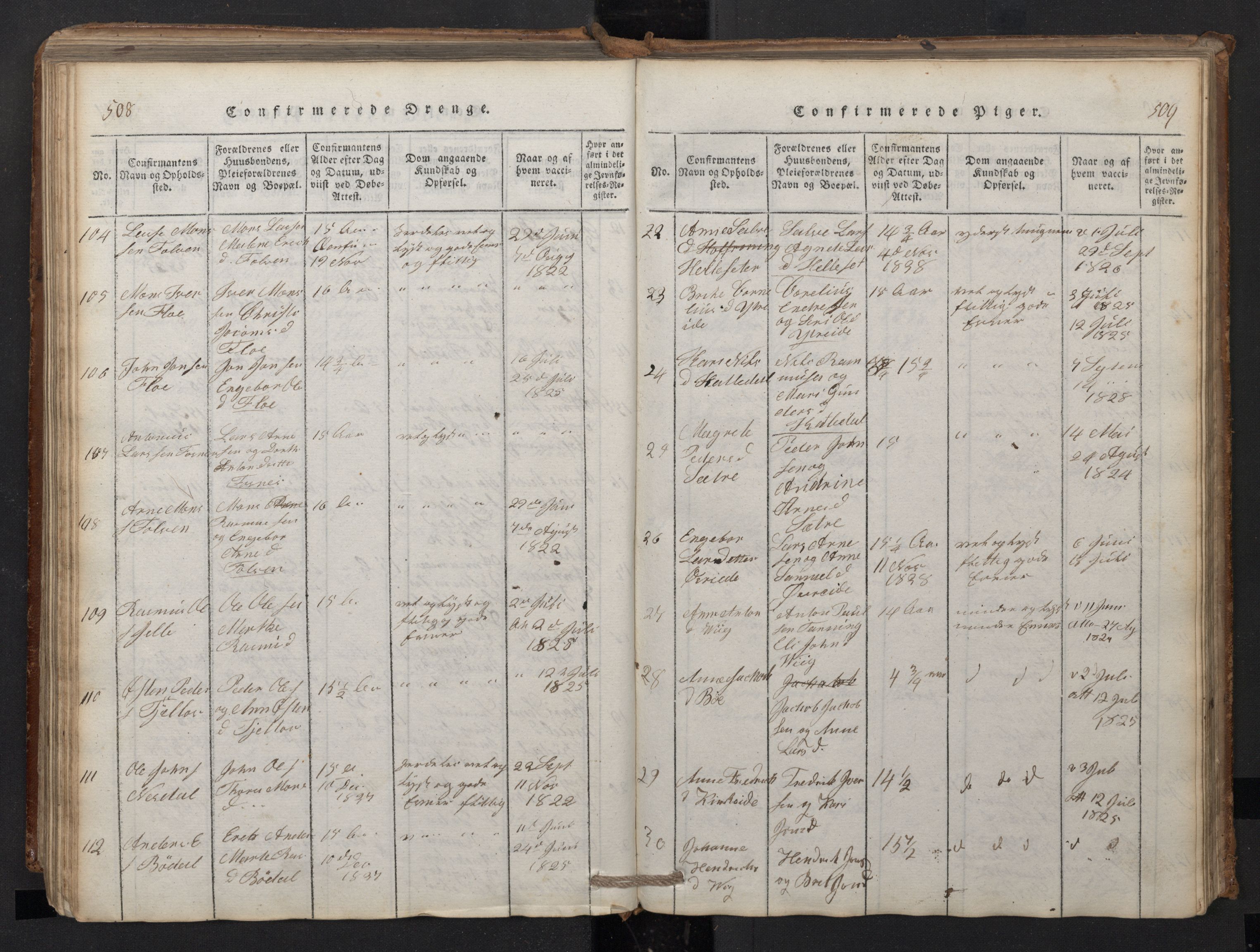 Stryn Sokneprestembete, AV/SAB-A-82501: Parish register (copy) no. A 1, 1816-1844, p. 508-509