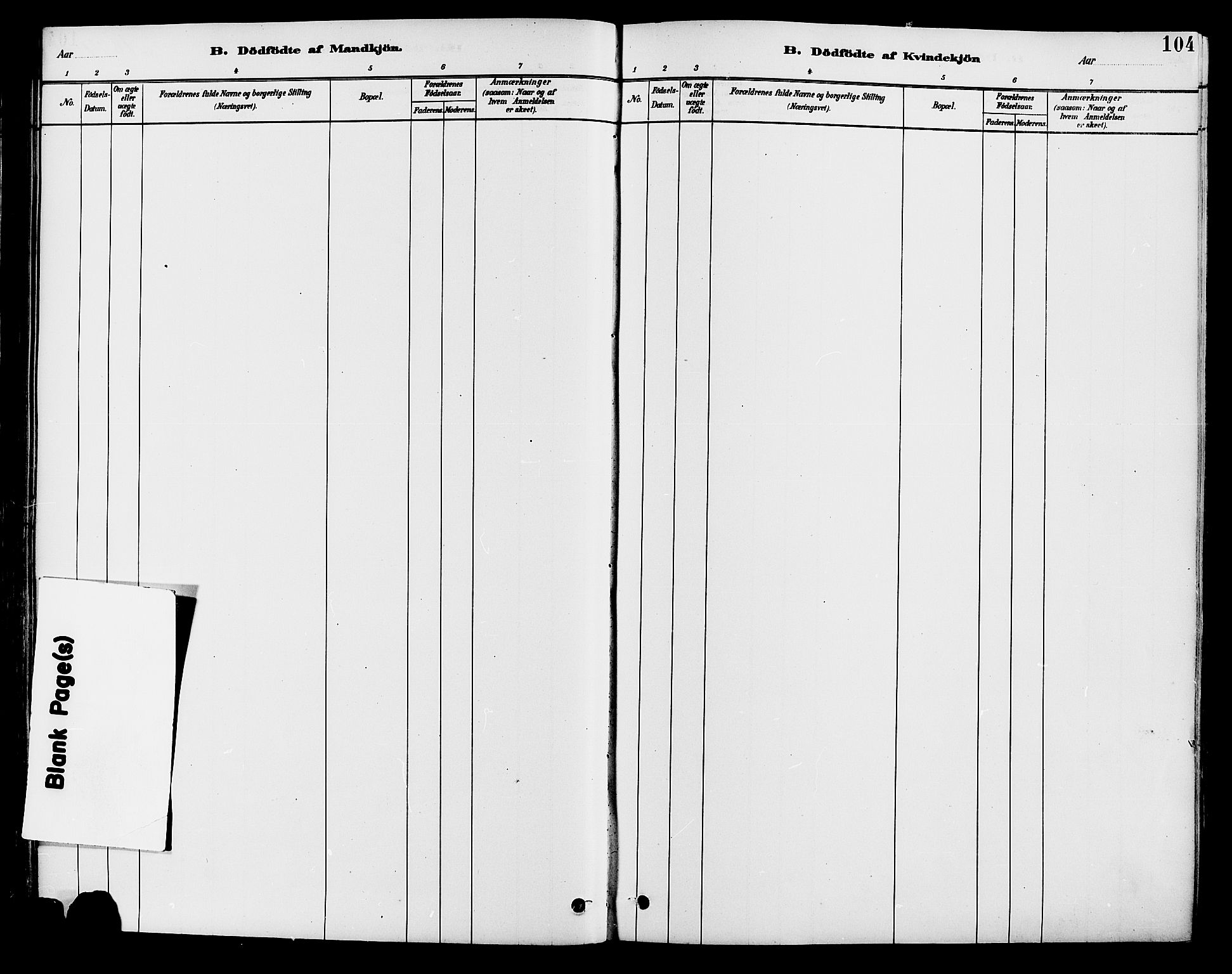 Brandval prestekontor, SAH/PREST-034/H/Ha/Haa/L0002: Parish register (official) no. 2, 1880-1894, p. 104