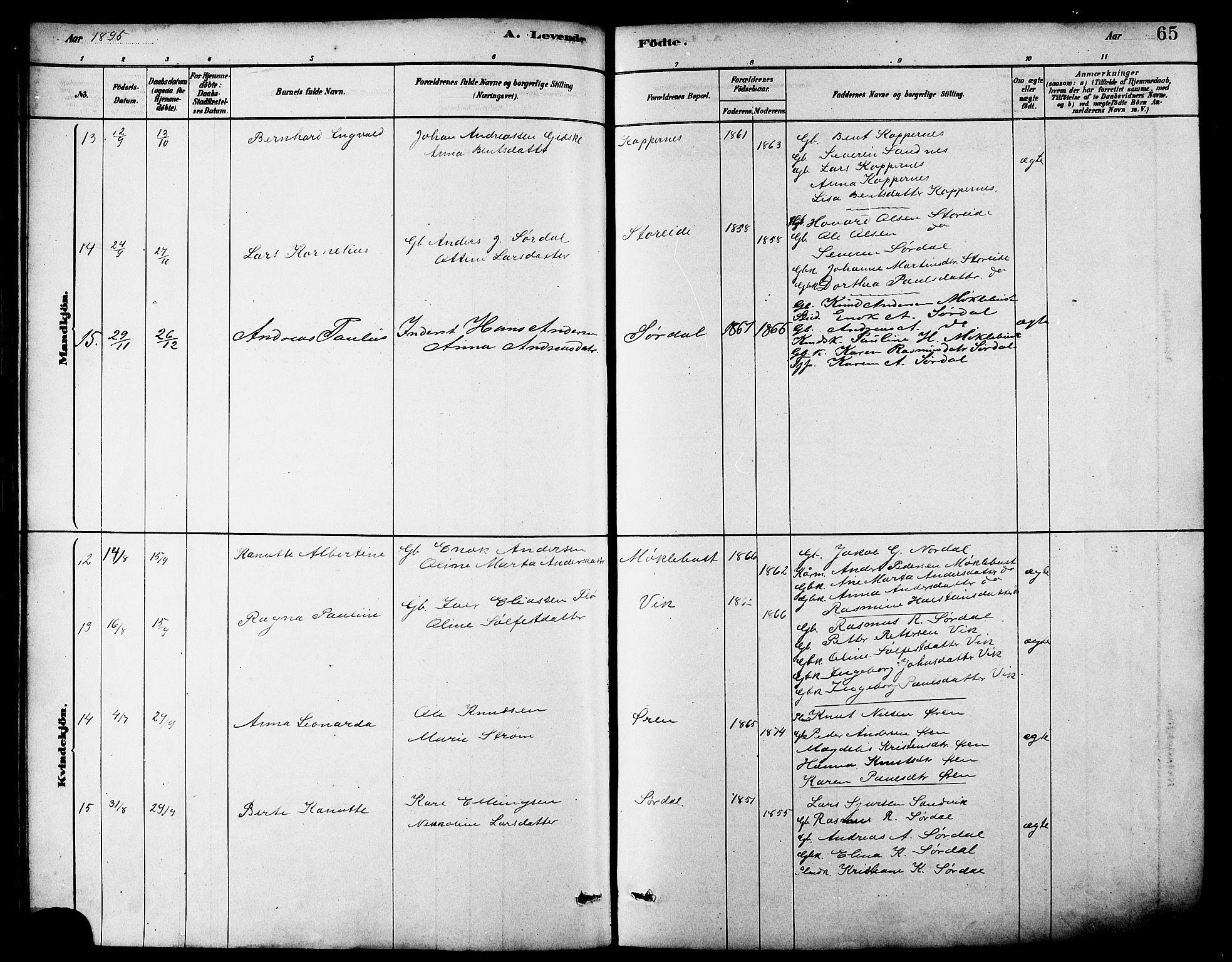 Ministerialprotokoller, klokkerbøker og fødselsregistre - Møre og Romsdal, AV/SAT-A-1454/502/L0027: Parish register (copy) no. 502C01, 1878-1908, p. 65