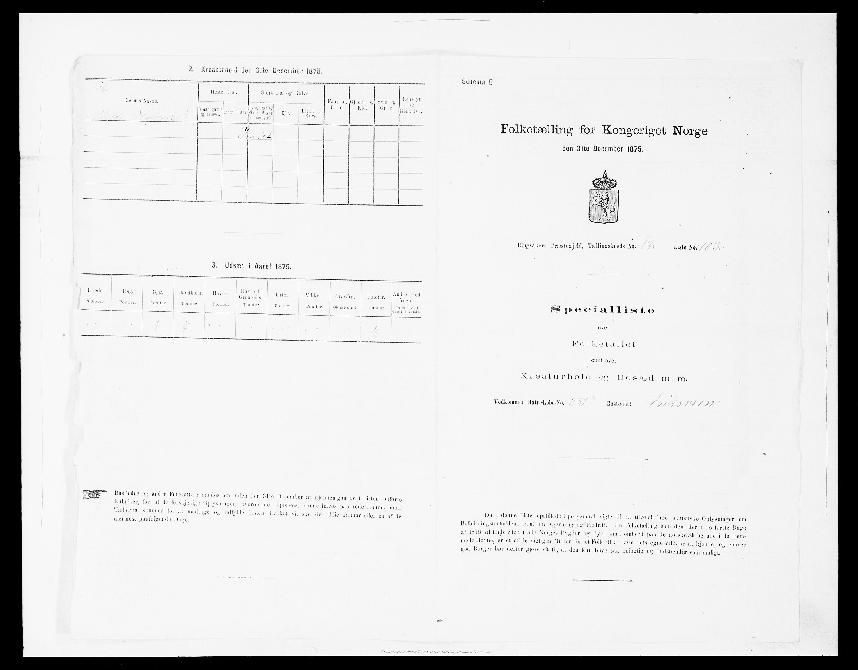 SAH, 1875 census for 0412P Ringsaker, 1875, p. 3029