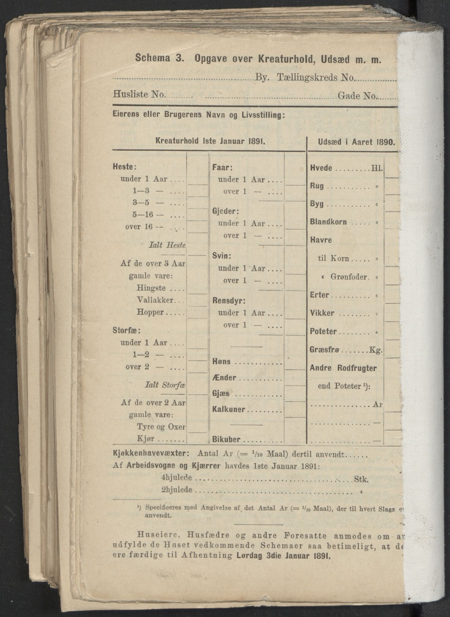 RA, 1891 Census for 1301 Bergen, 1891, p. 6444