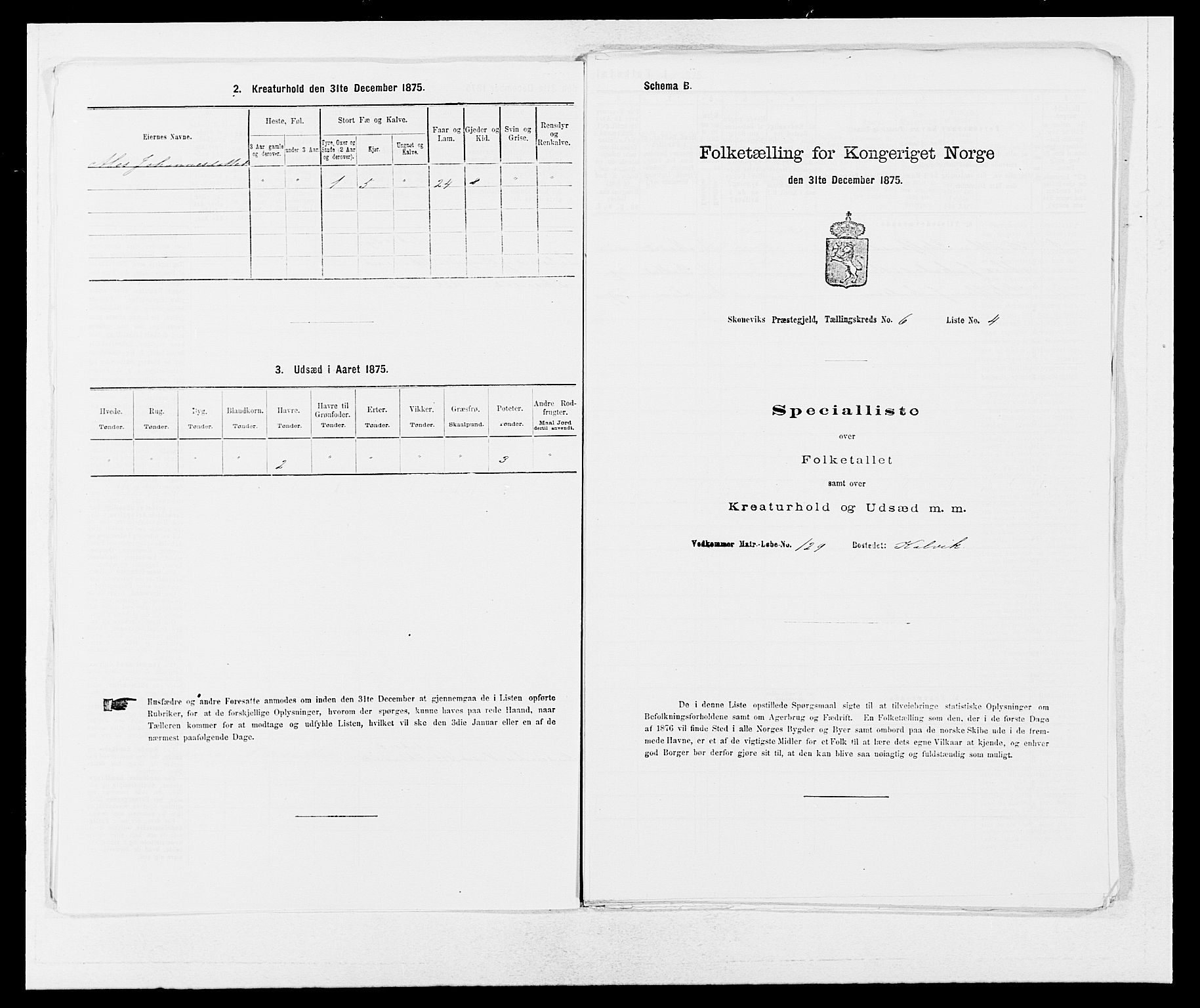 SAB, 1875 census for 1212P Skånevik, 1875, p. 579