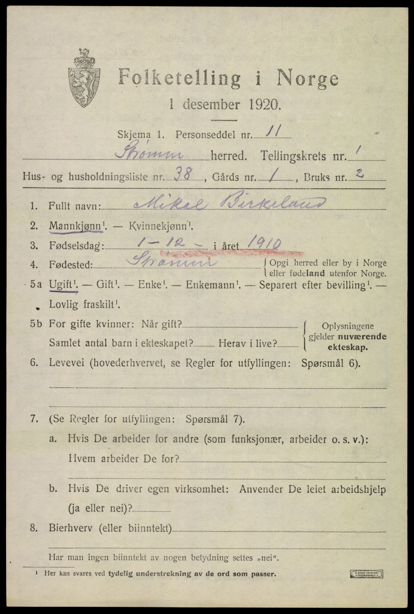 SAKO, 1920 census for Strømm, 1920, p. 1175