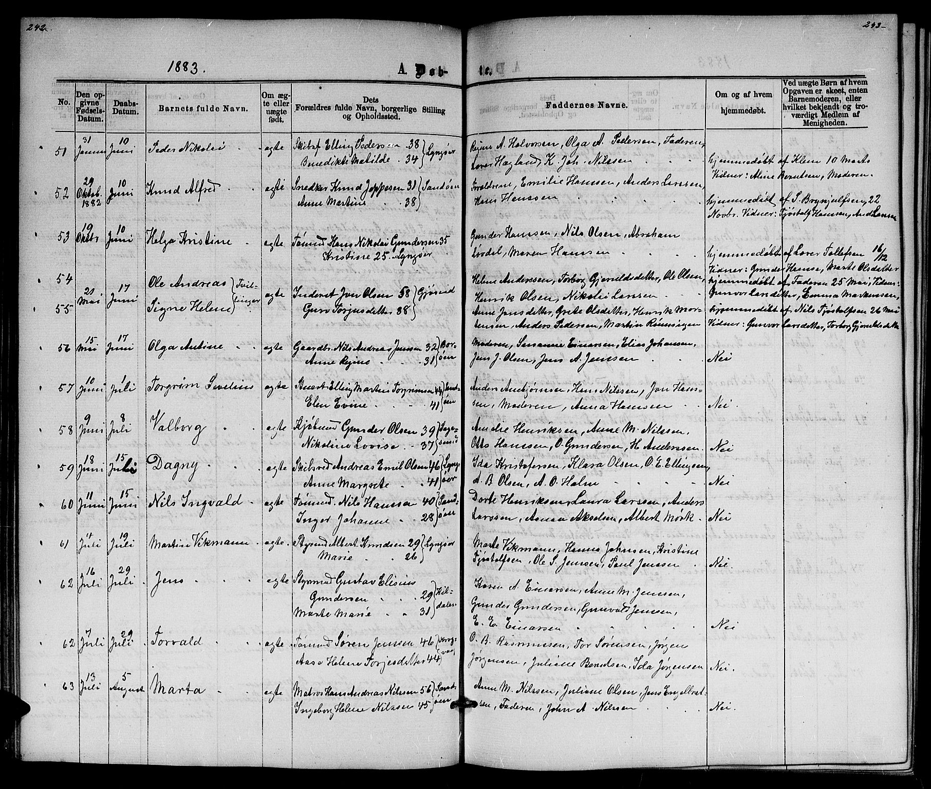 Dypvåg sokneprestkontor, AV/SAK-1111-0007/F/Fb/Fba/L0012: Parish register (copy) no. B 12, 1872-1886, p. 242-243