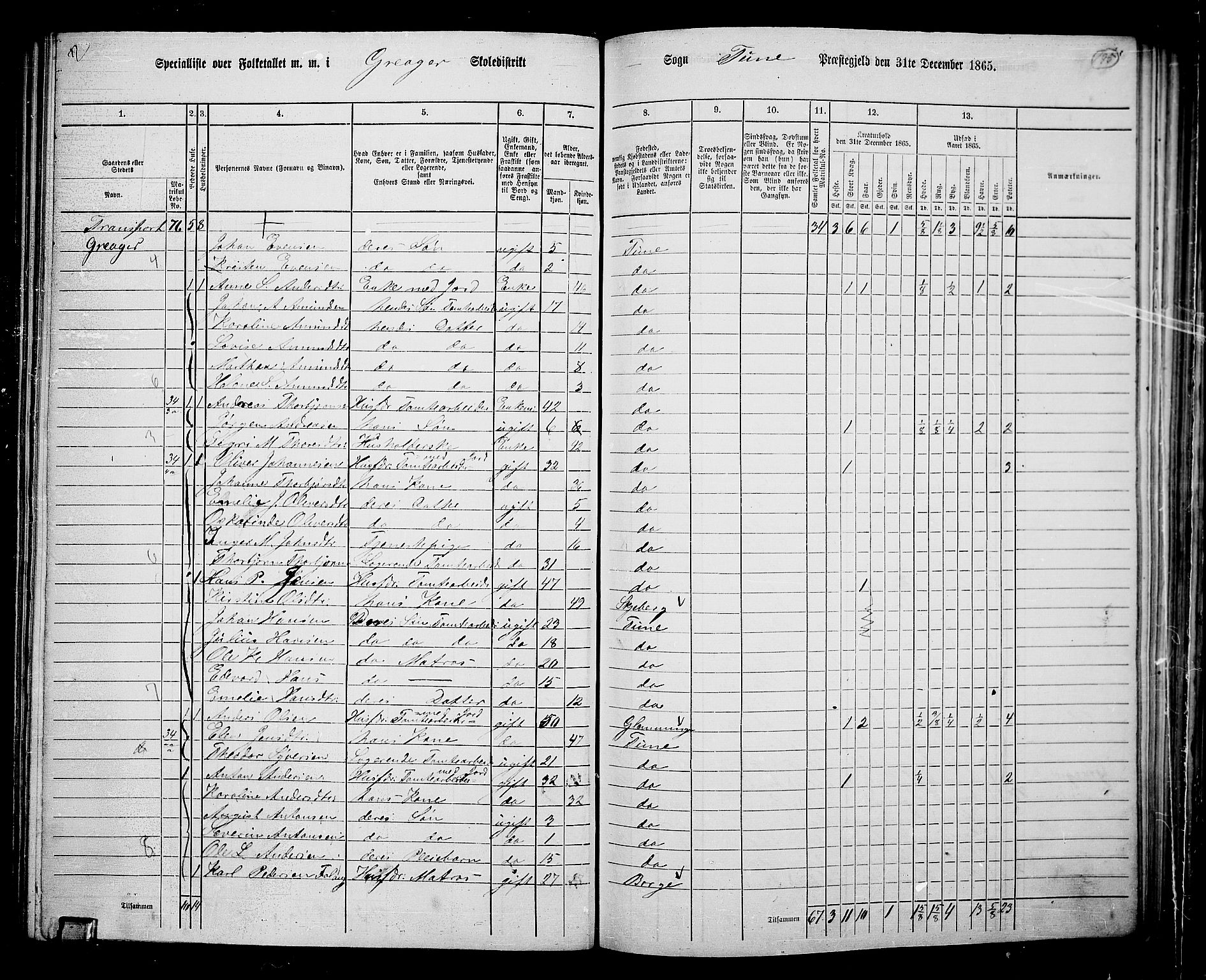 RA, 1865 census for Tune, 1865, p. 177