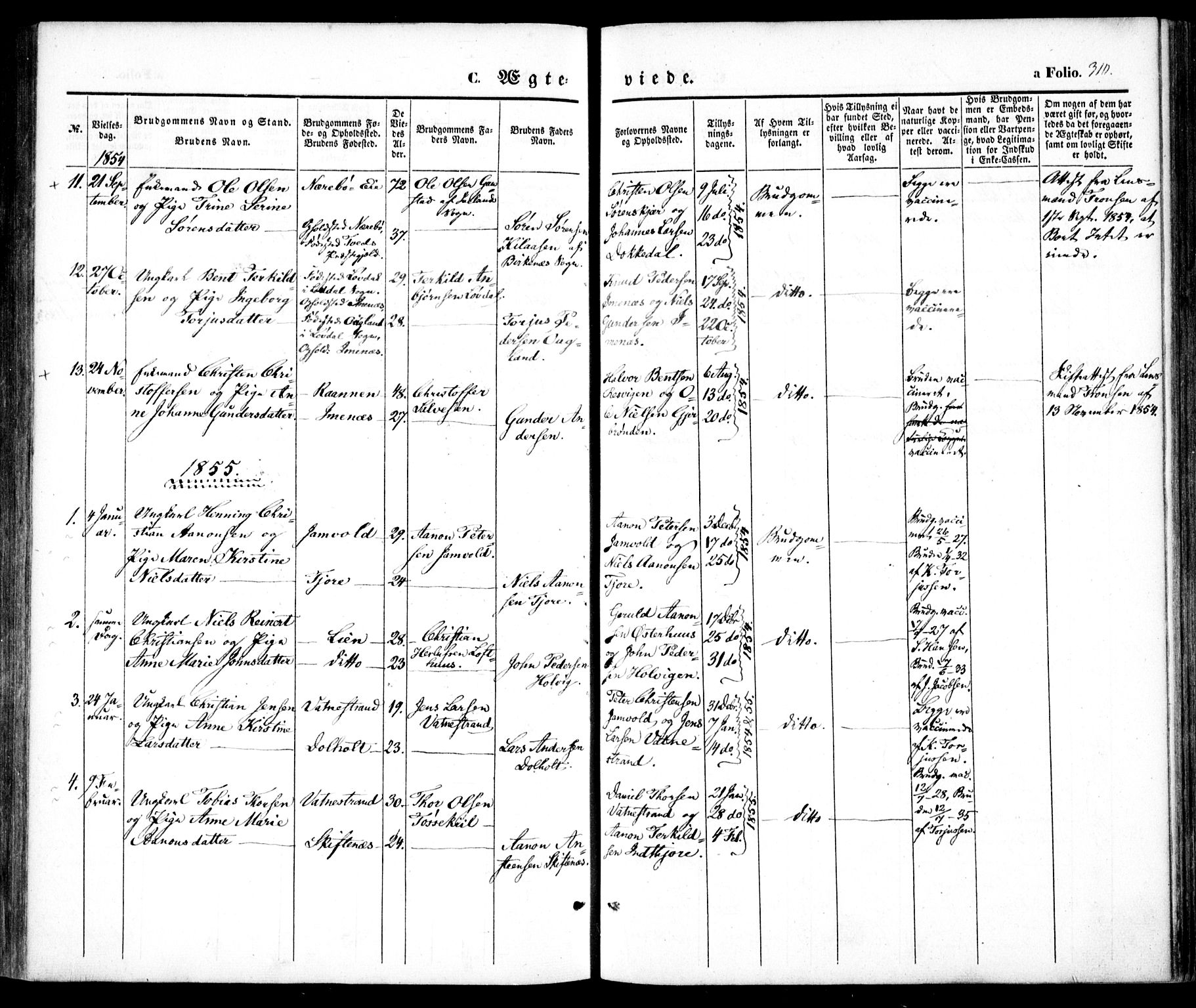 Hommedal sokneprestkontor, AV/SAK-1111-0023/F/Fa/Fab/L0004: Parish register (official) no. A 4, 1848-1860, p. 310