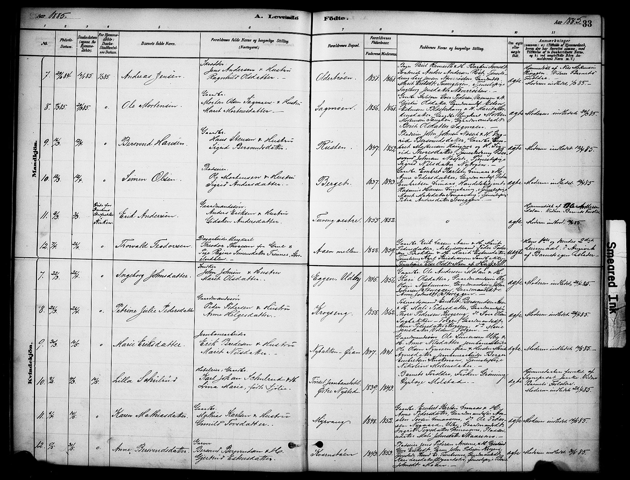 Tynset prestekontor, SAH/PREST-058/H/Ha/Hab/L0006: Parish register (copy) no. 6, 1880-1899, p. 33